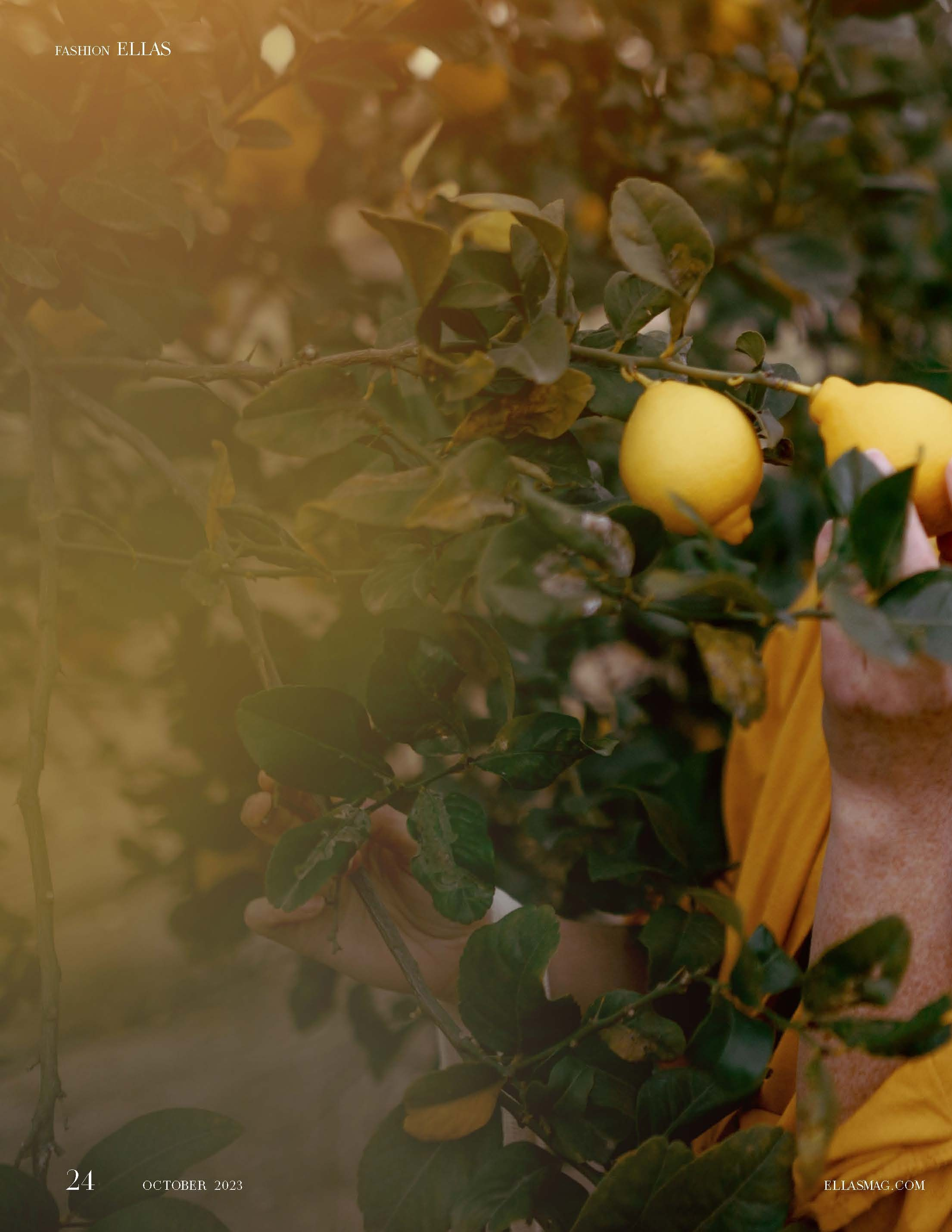 ELLAS Madrid, Spain Oct 2023. Фотограф в Аликанте СветЛана Константинова