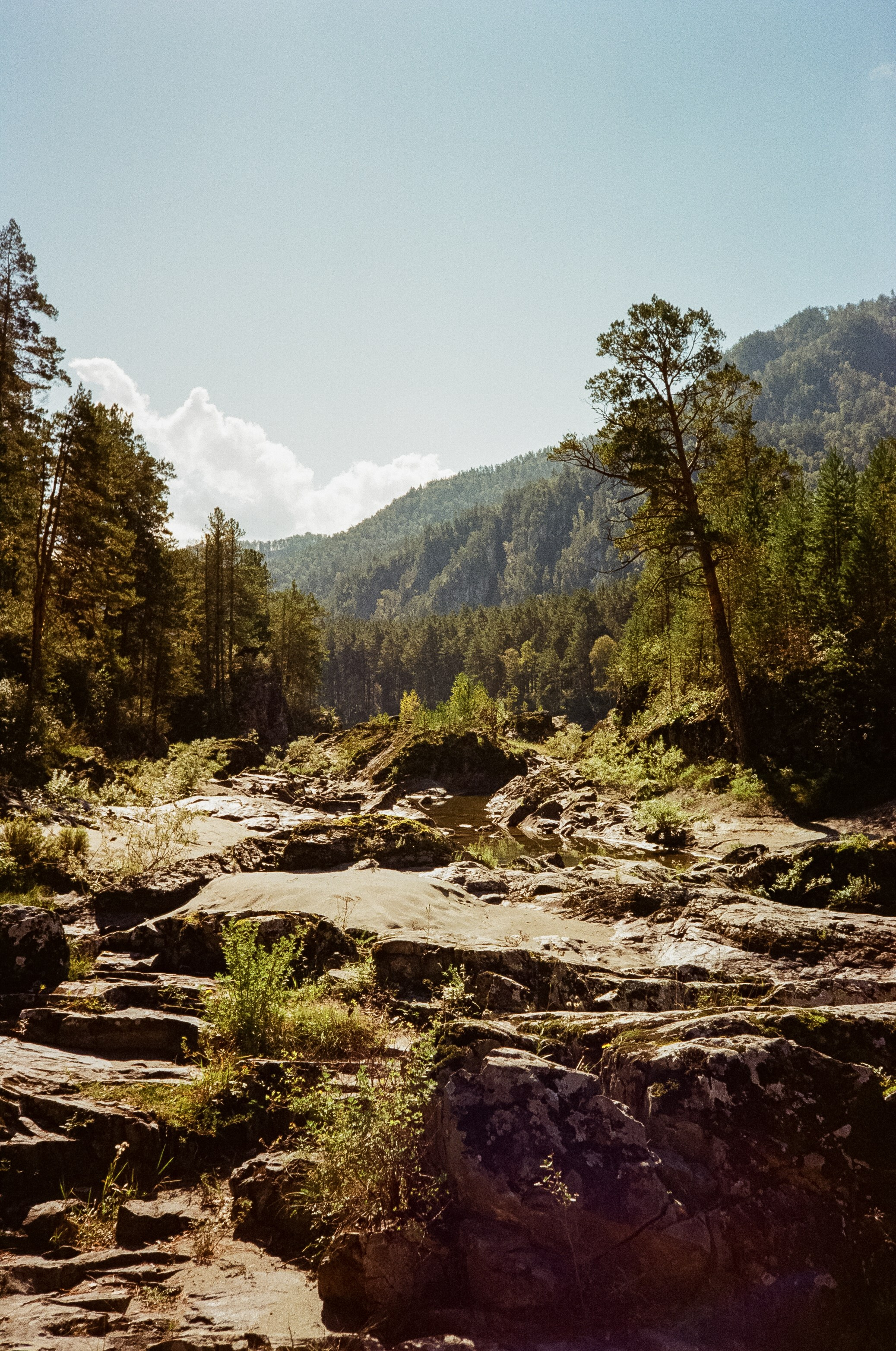 Кедровый остров. Бирюзовая Катунь. Фотограф-документалист Мария Осокина