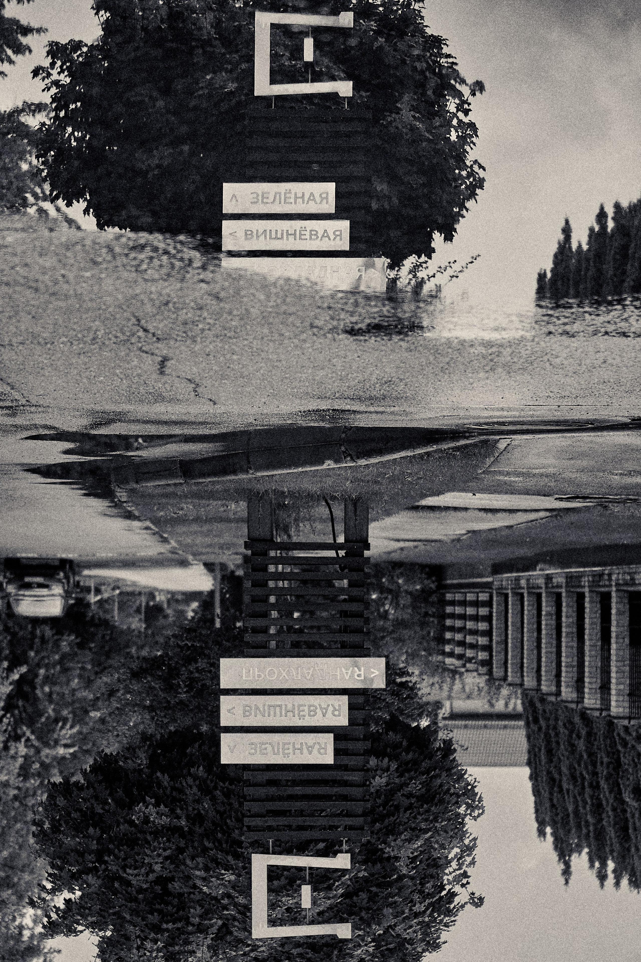 Уличный фотограф в Москве