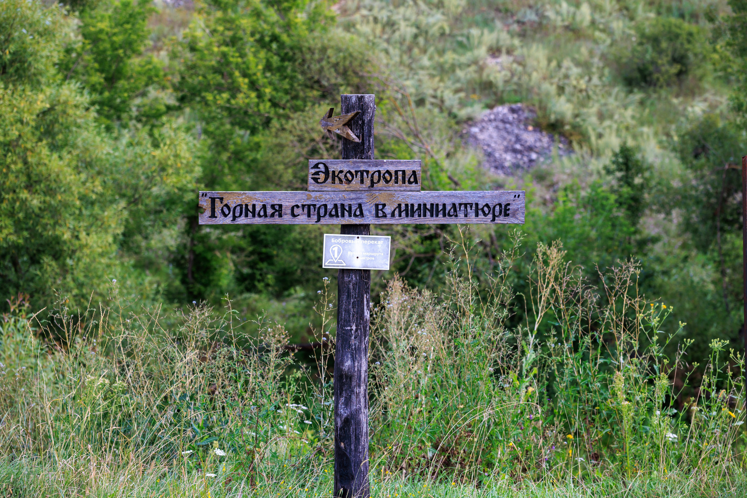 «Горная страна в миниатюре» — экологическая тропа в Аргамач-Пальна. Профессиональный фотограф в Воронеже | Липецке | Тамбове — Алексей Зайцев