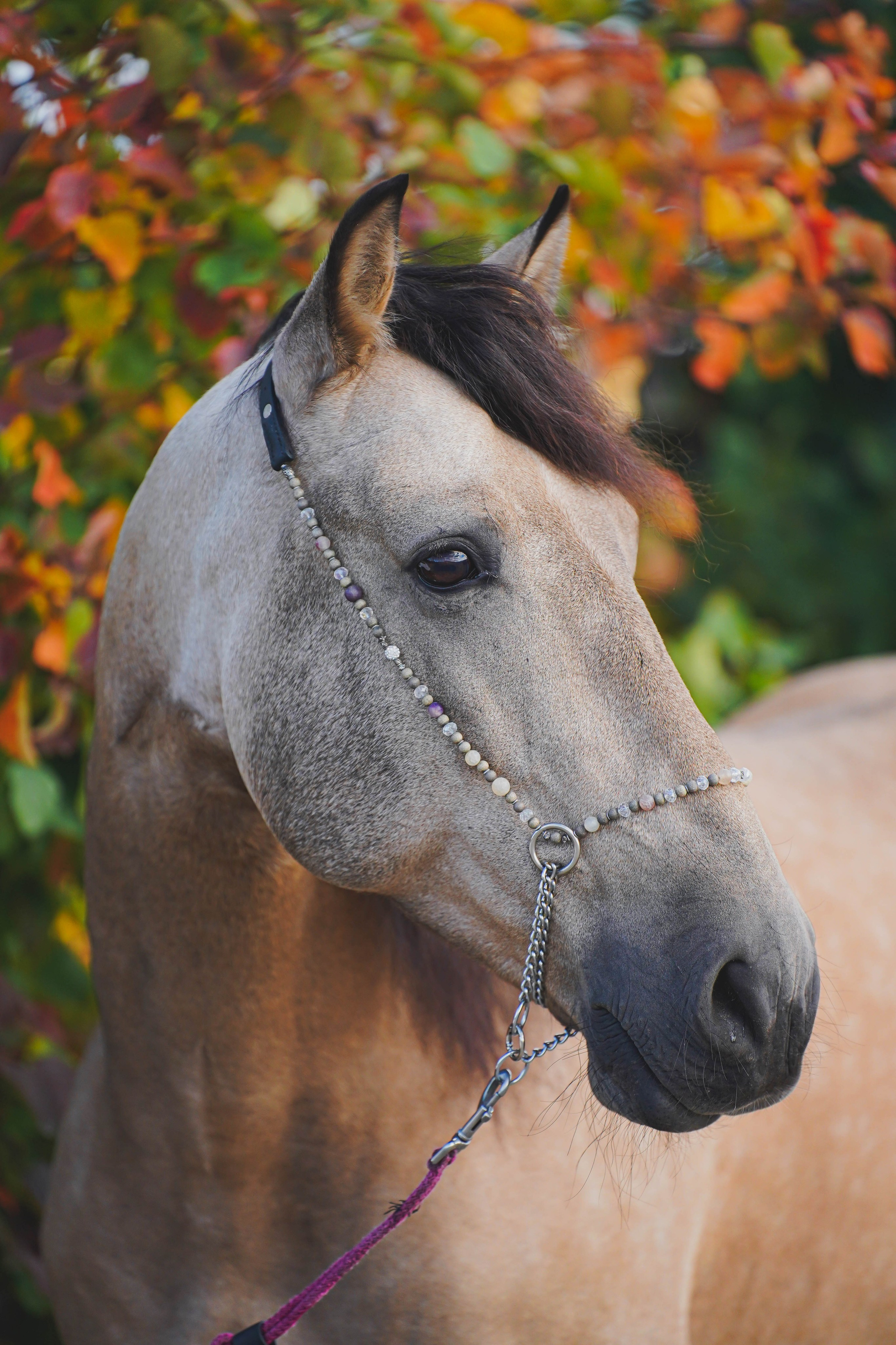 Экстерьер и спорт. Фотограф в Москве Ленарская Дарья