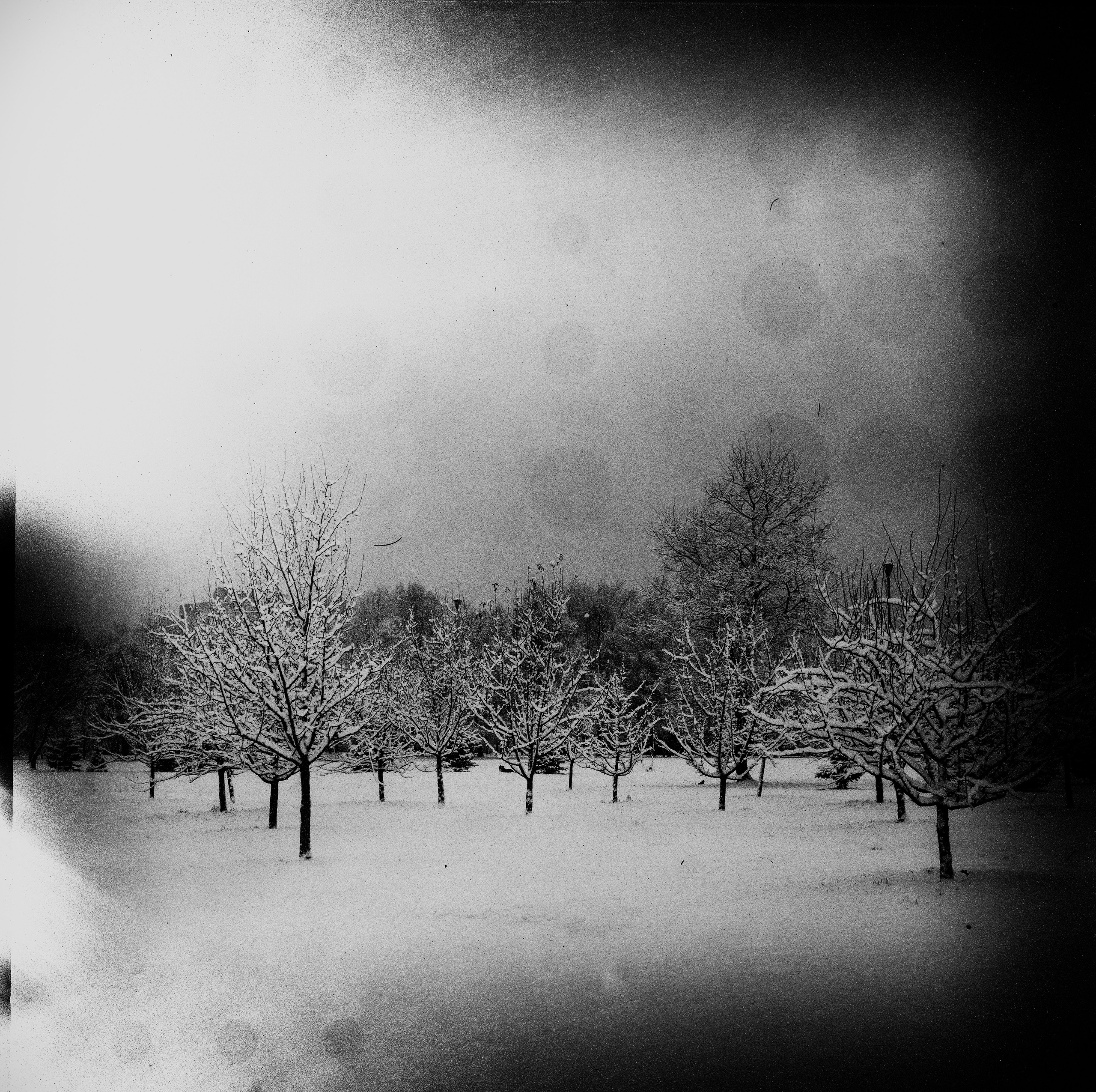 Плёнка 35/120мм. Katya Medvedeva