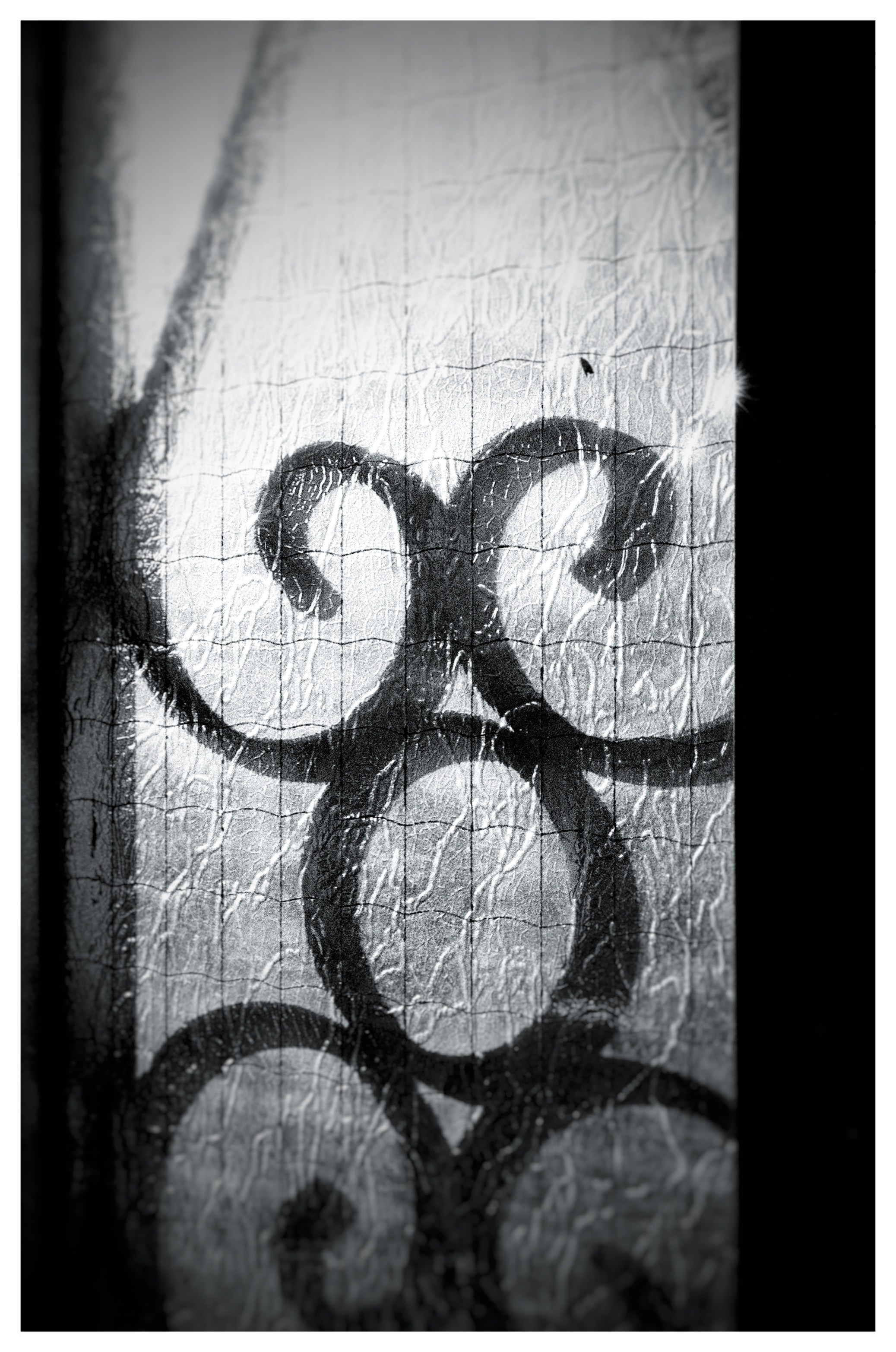 Плёнка 35/120мм. Katya Medvedeva