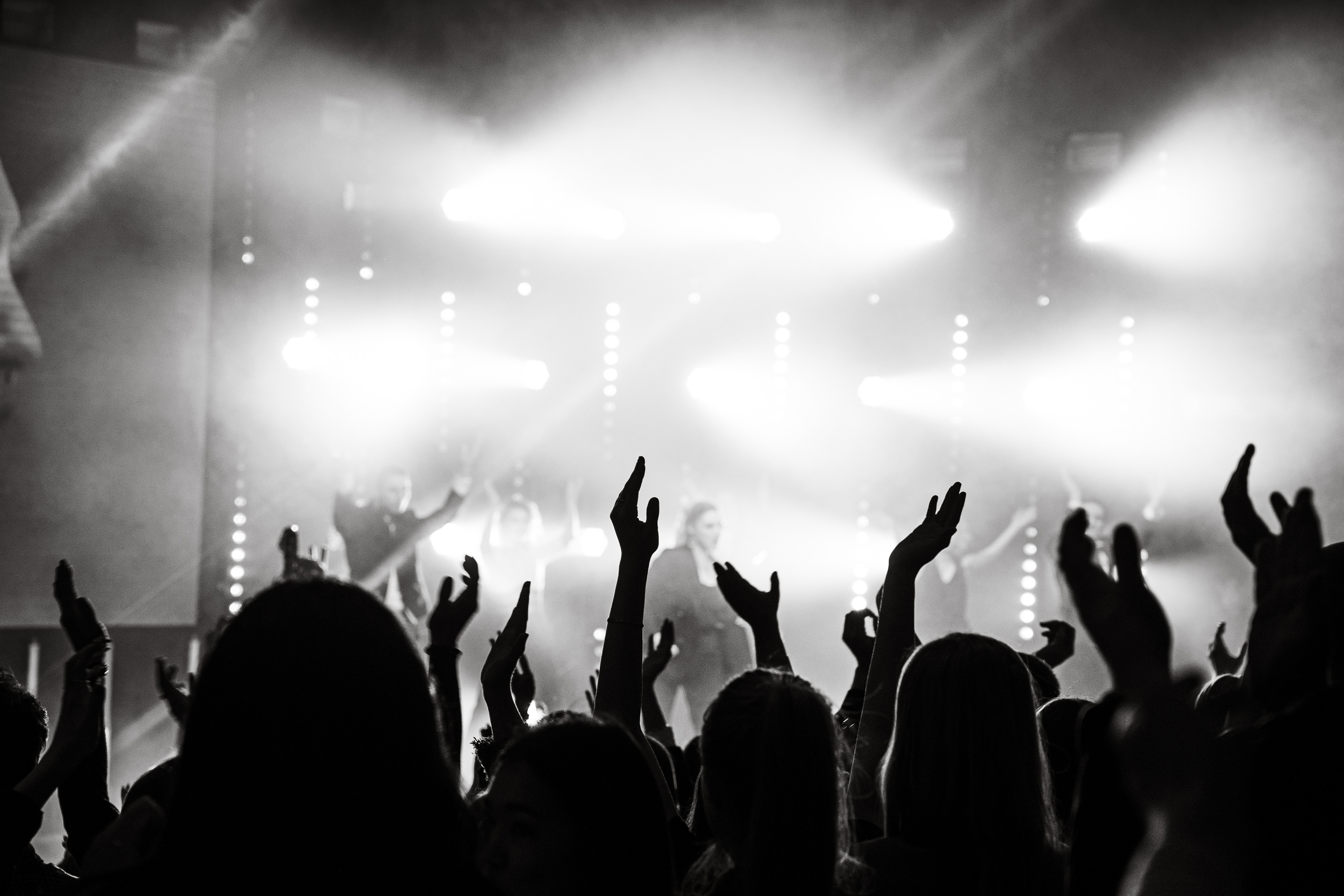 Универвидение Новосибирск. Фотограф Новосибирск Вероника Вишневская