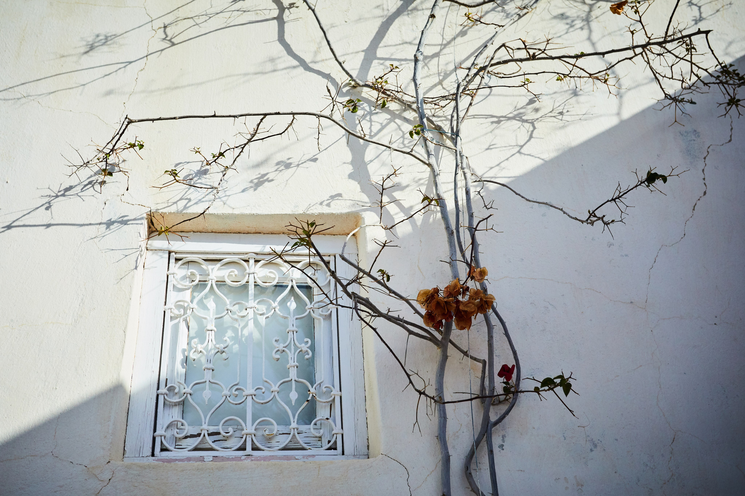 Тунис. Рекламный коммерческий фотограф в Москве Владимир Лукьянов