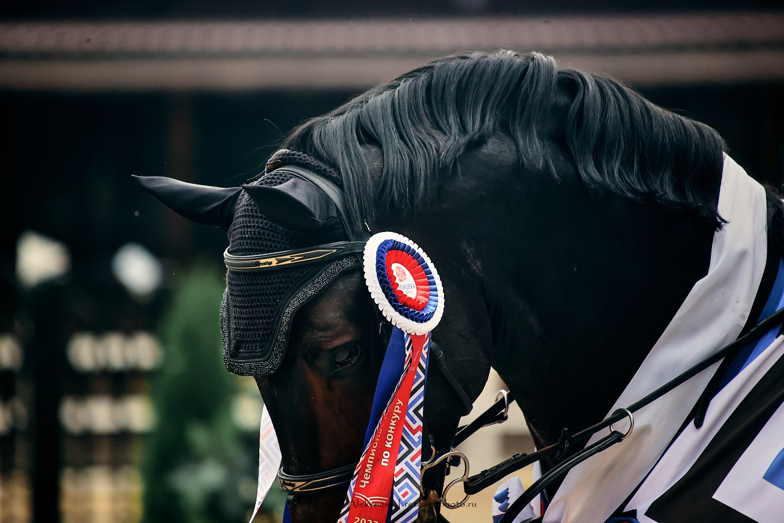 Лично-Командный ЧР по конкуру, КСК Horseka | 08'2023. Репортажный фотограф и ретушер в Москве Наталья Алексеева
