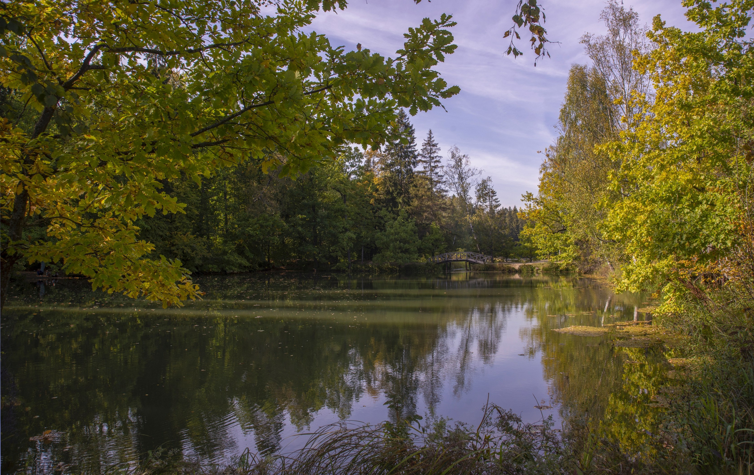 Абрамцево. Сентябрь 2023. Игорь Жучков. Россия увиденная глазами путешествующего фотографа