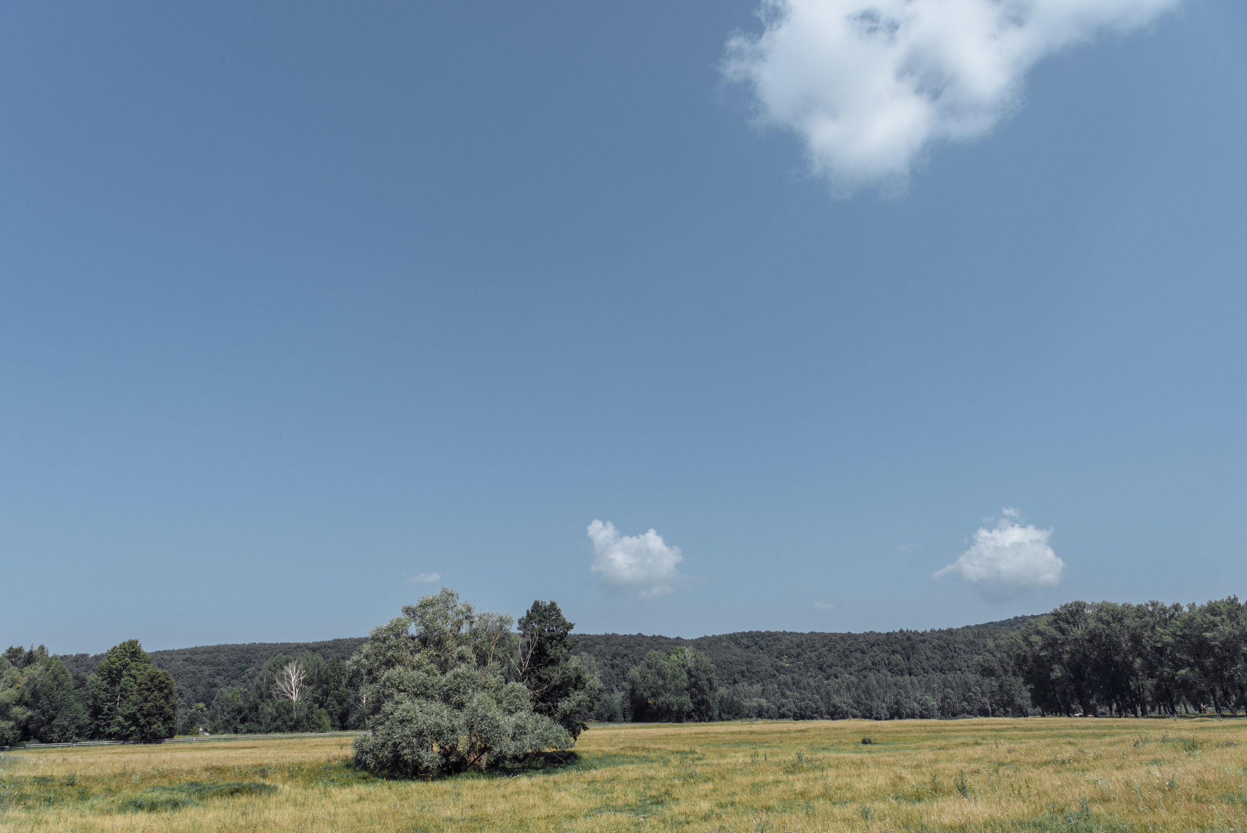 Эльдар и Аделина. Свадебный и семейный фотограф в Уфе | Винс Константин | Фотопроекты