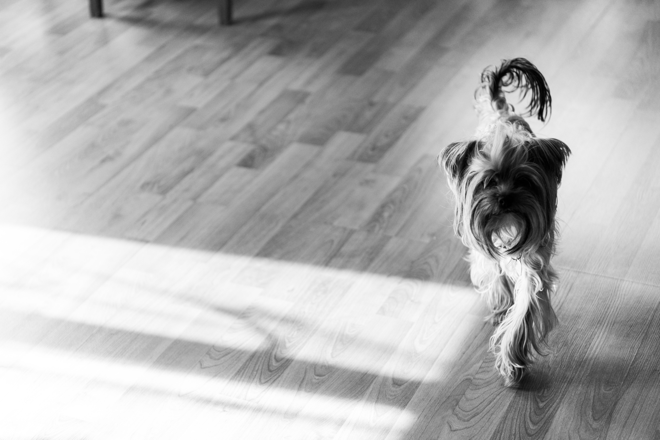 Эльдар и Аделина. Свадебный и семейный фотограф в Уфе | Винс Константин | Фотопроекты