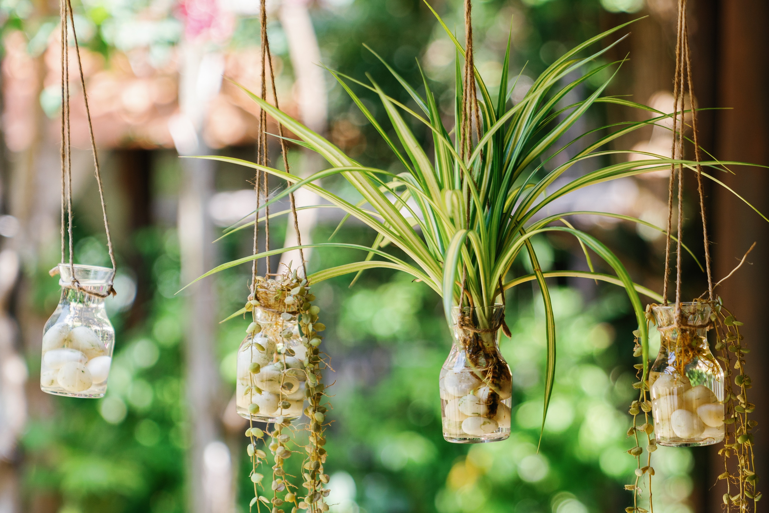 Green Bay Resort, Phu Quoc. Phu Quoc Photographer — Phu Quoc wedding Photograper