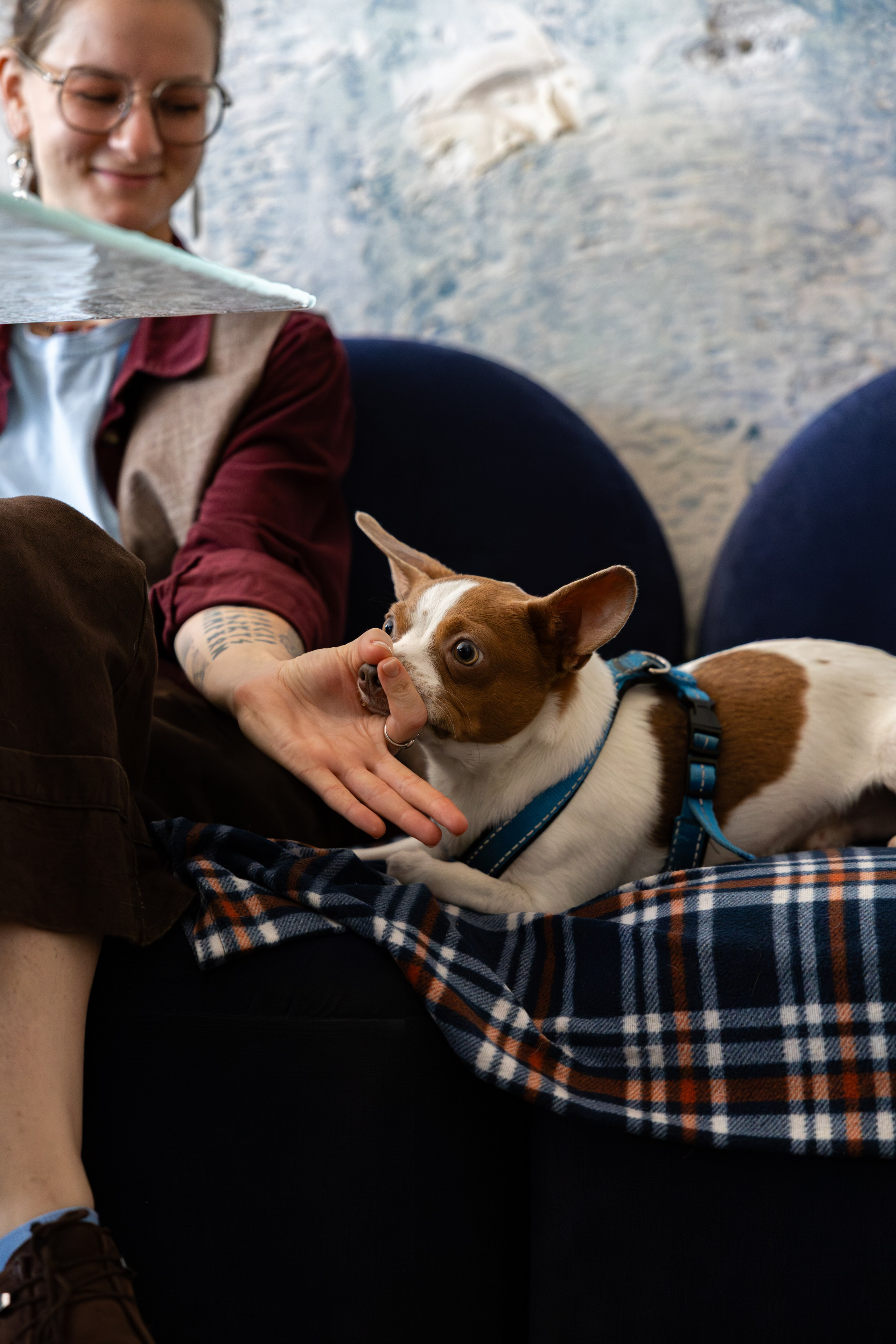 Gastrodvor THE LAB. Дженбаз Павел — фотограф в Ялте