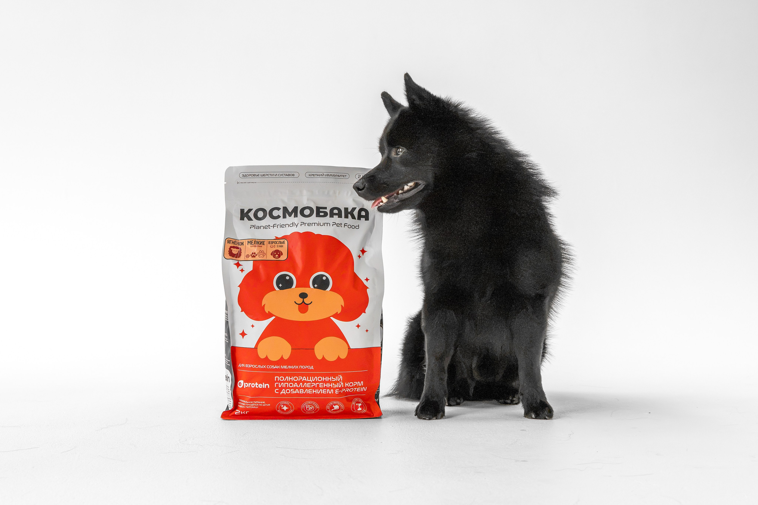 Легендарный Михаил в съемке для «Космопет»). Зоофотограф, фотограф животных в Москве и области Дина Дамоцева