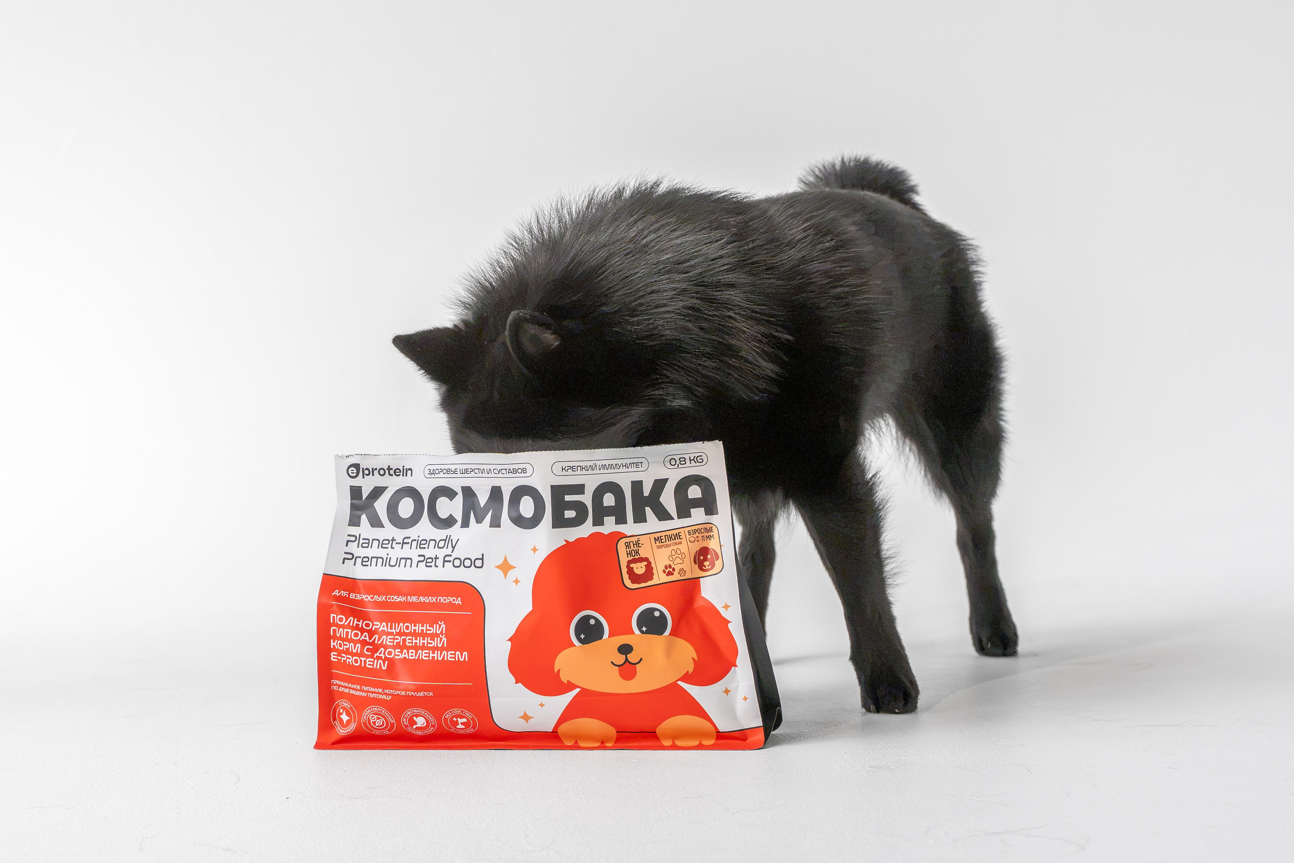 Легендарный Михаил в съемке для «Космопет»). Зоофотограф, фотограф животных в Москве и области Дина Дамоцева