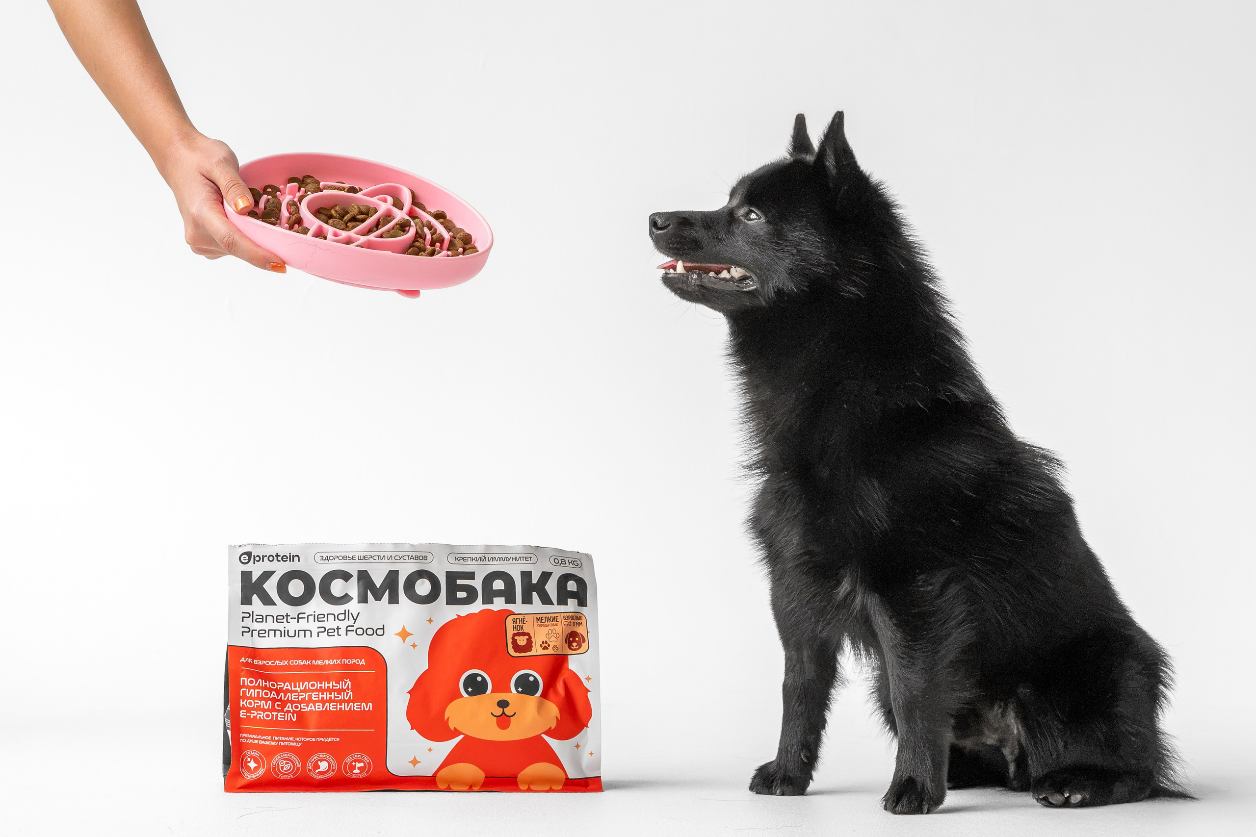 Легендарный Михаил в съемке для «Космопет»). Зоофотограф, фотограф животных в Москве и области Дина Дамоцева