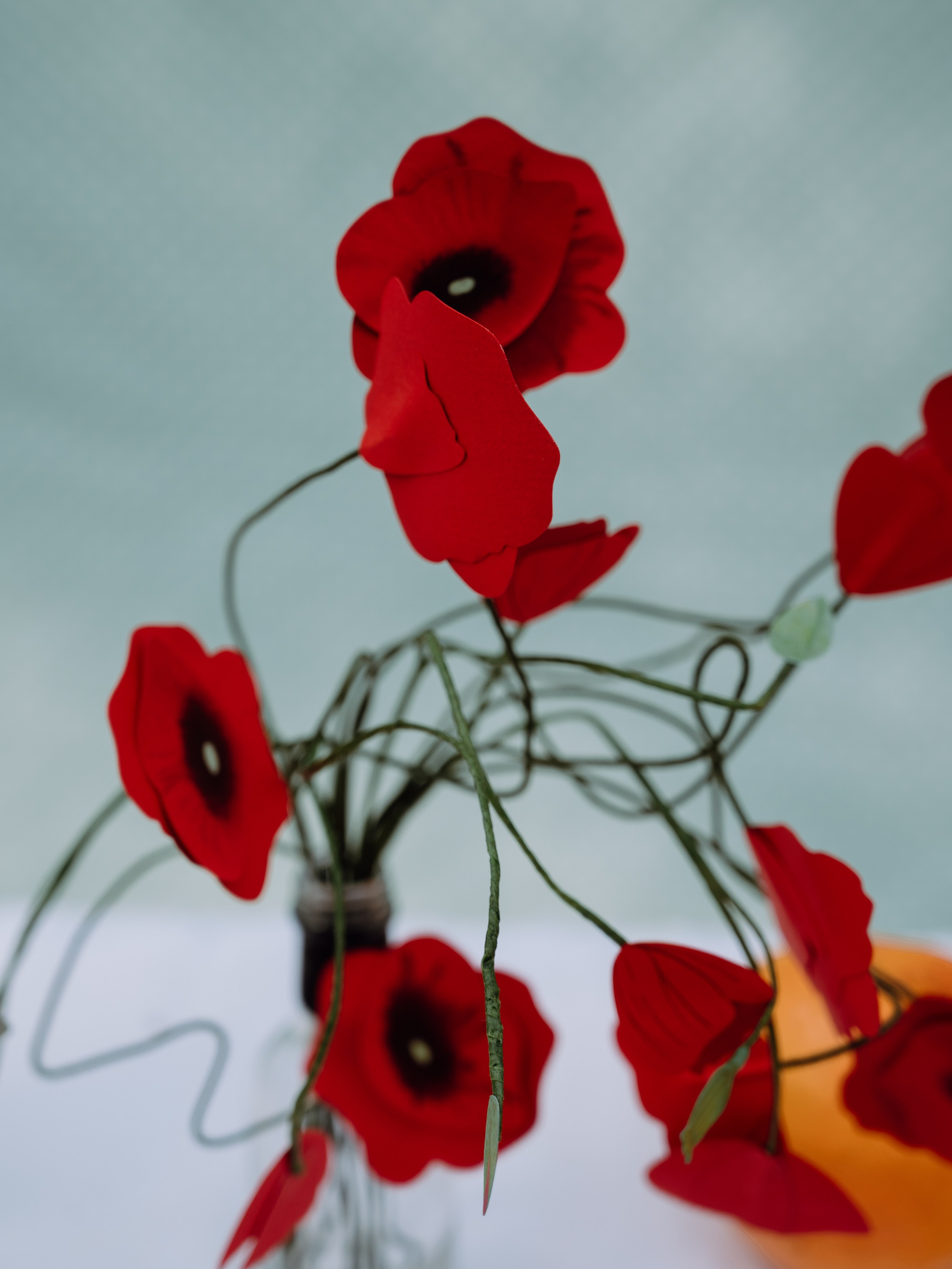 Фотограф Лиана Сафарова. Свадебные, портретные, парные съёмки