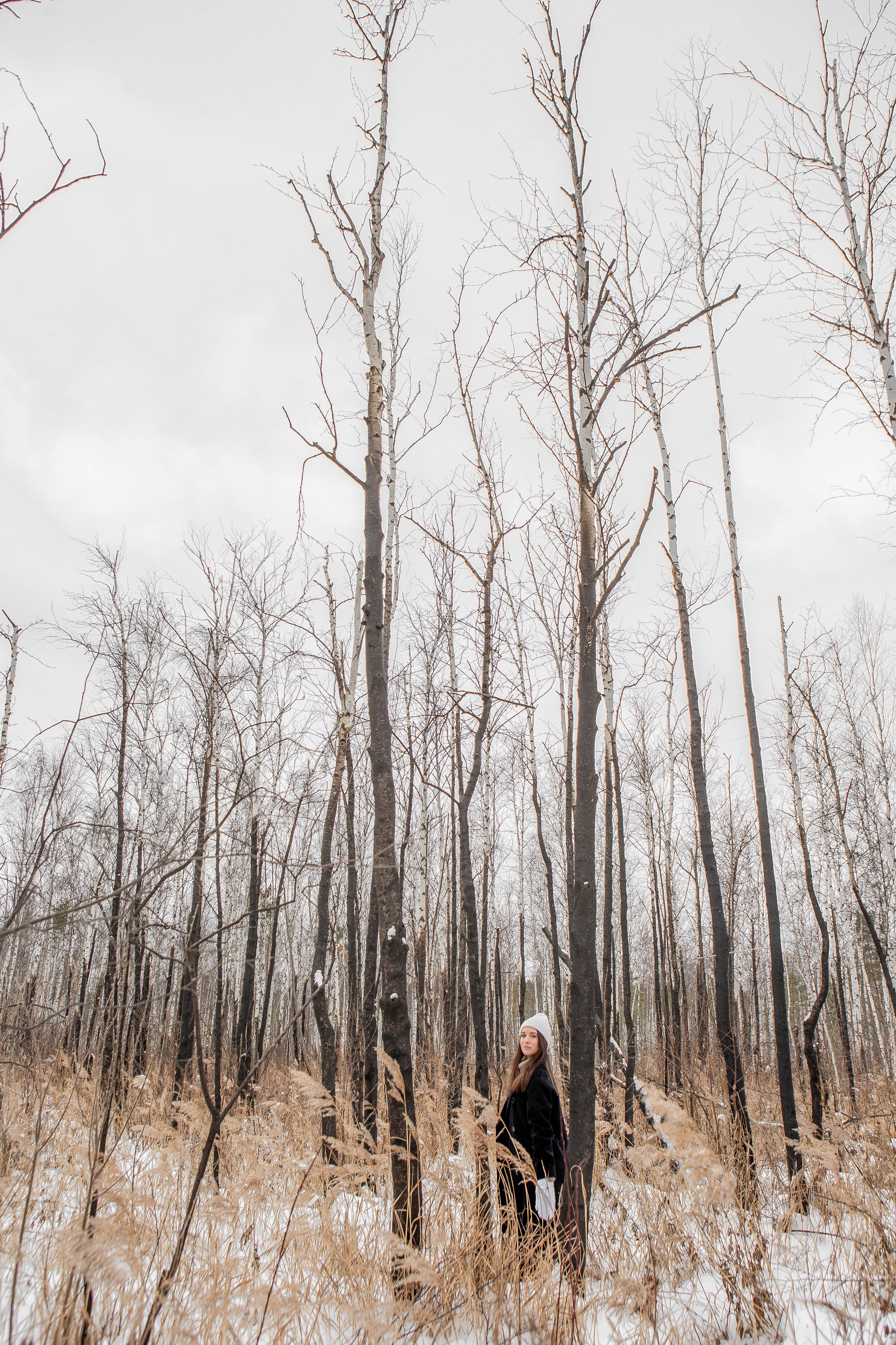 Зимняя прогулка. Фотограф Екатерина Голицына