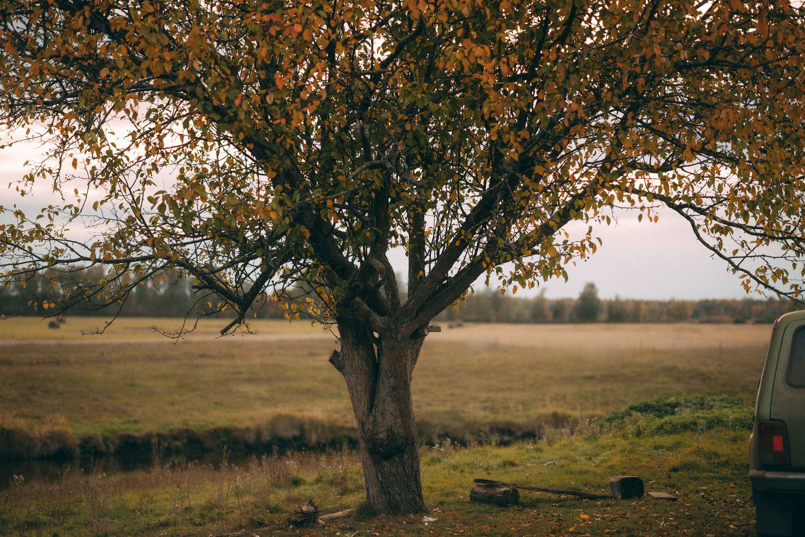 Дарина и Максим. Фотограф Юлия Хакимова / Казань/ Чистополь