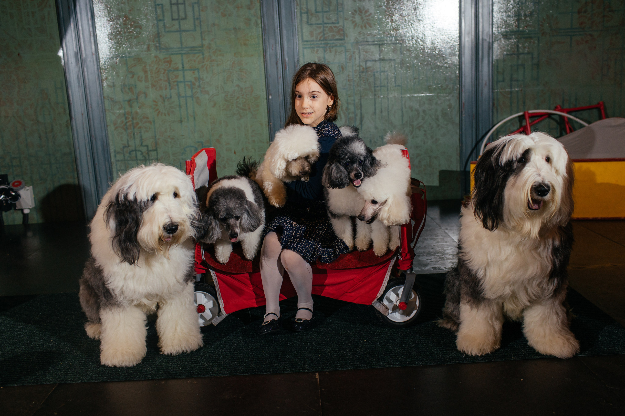 Алине 7 лет. Свадебный и семейный фотограф