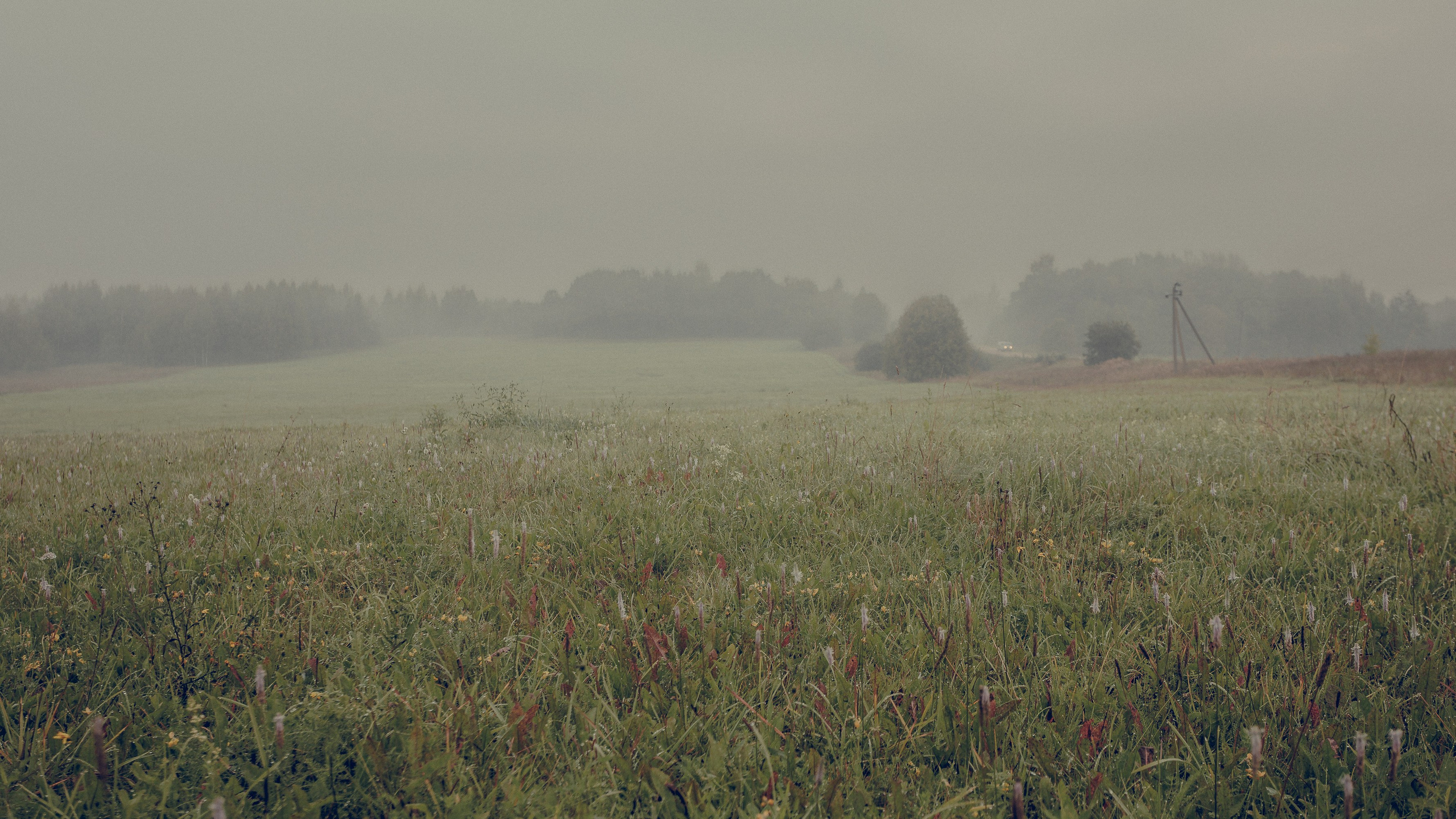 Полет на шаре. Фотошкола ArtFotoLife для начинающих и продвинутых фотографов