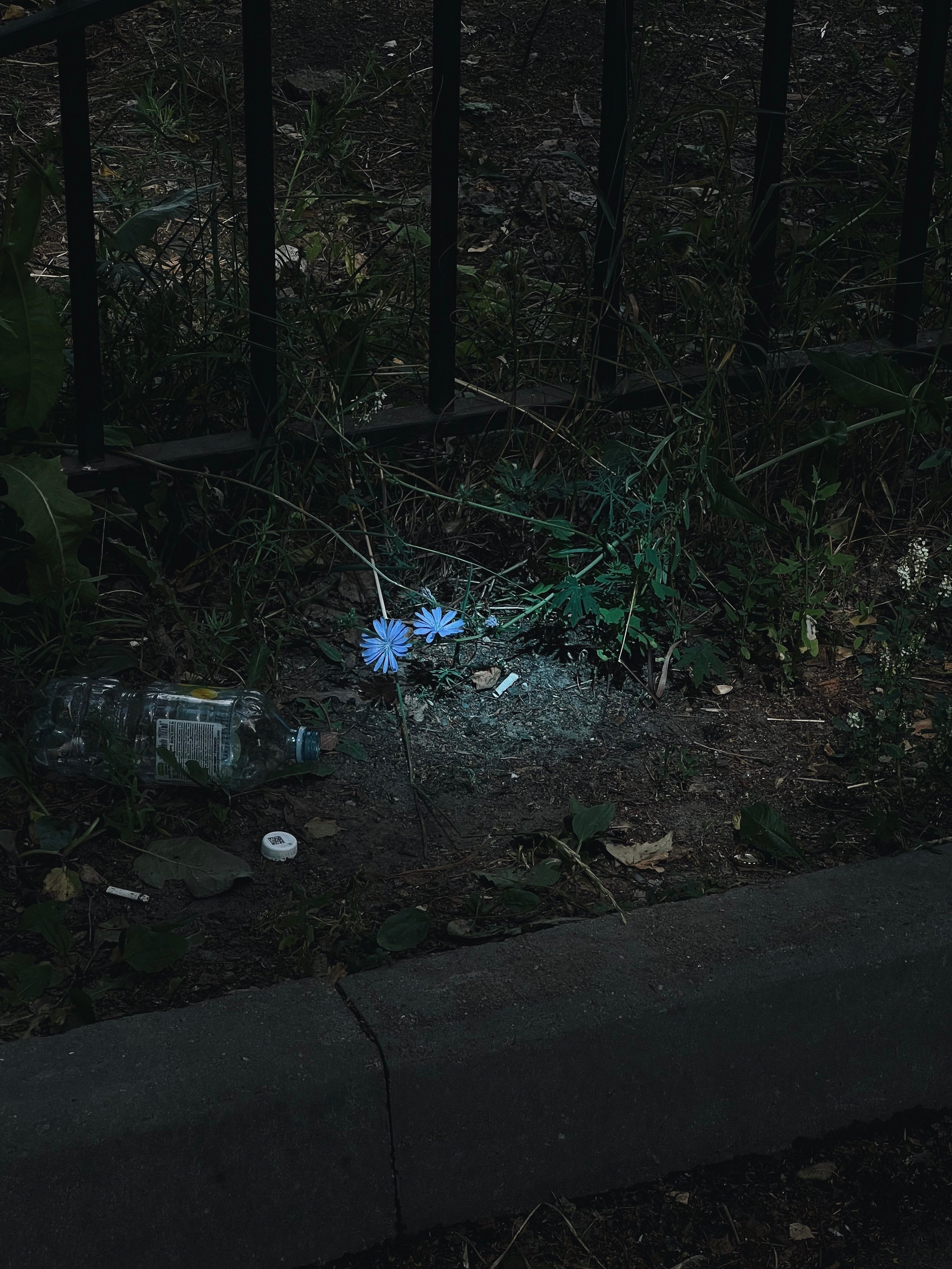 Fragments. Artem Khusainov