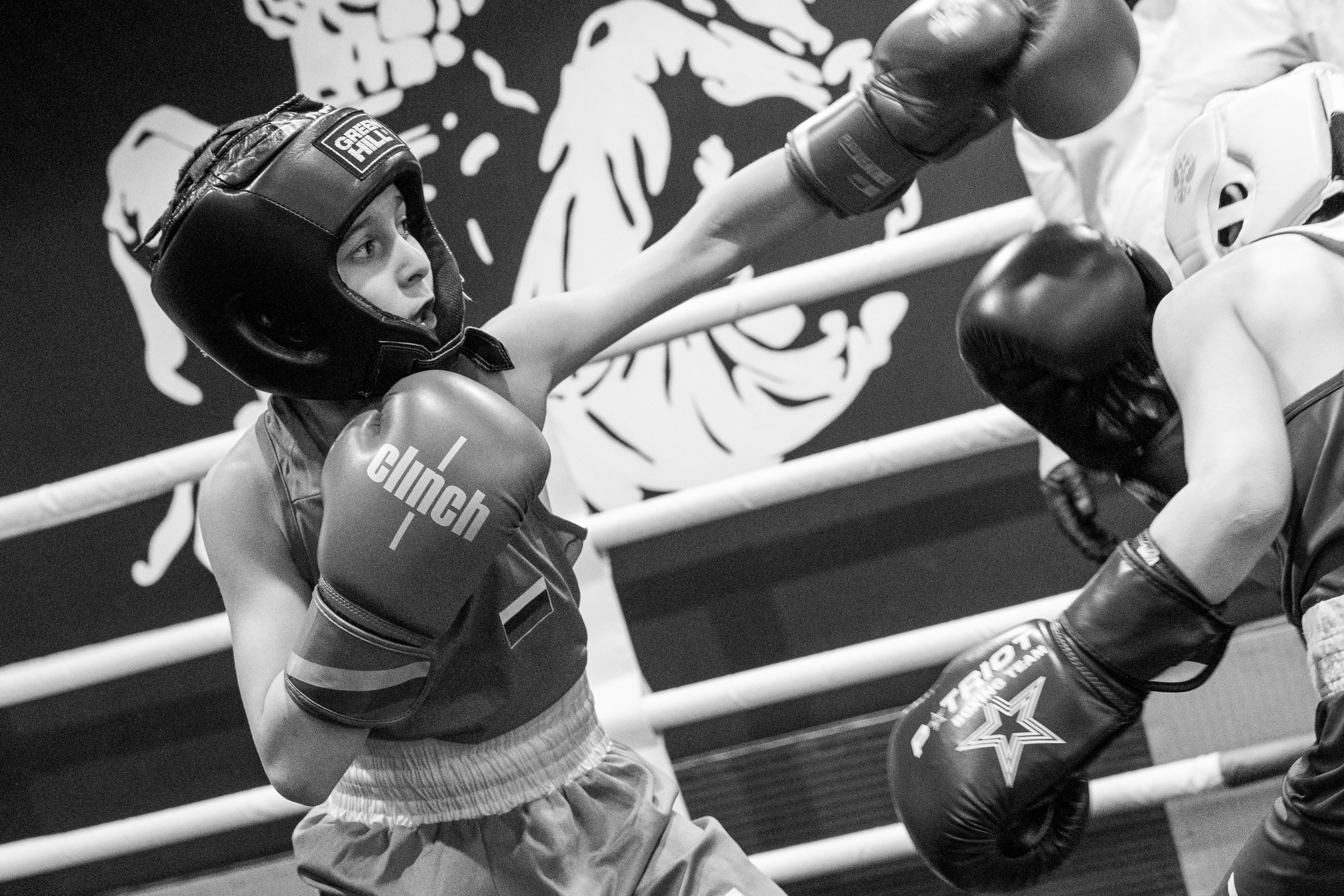 Турнир по боксу Одинцовский р-н 30.03.2025. Фото и видео съемка Ваших мероприятий