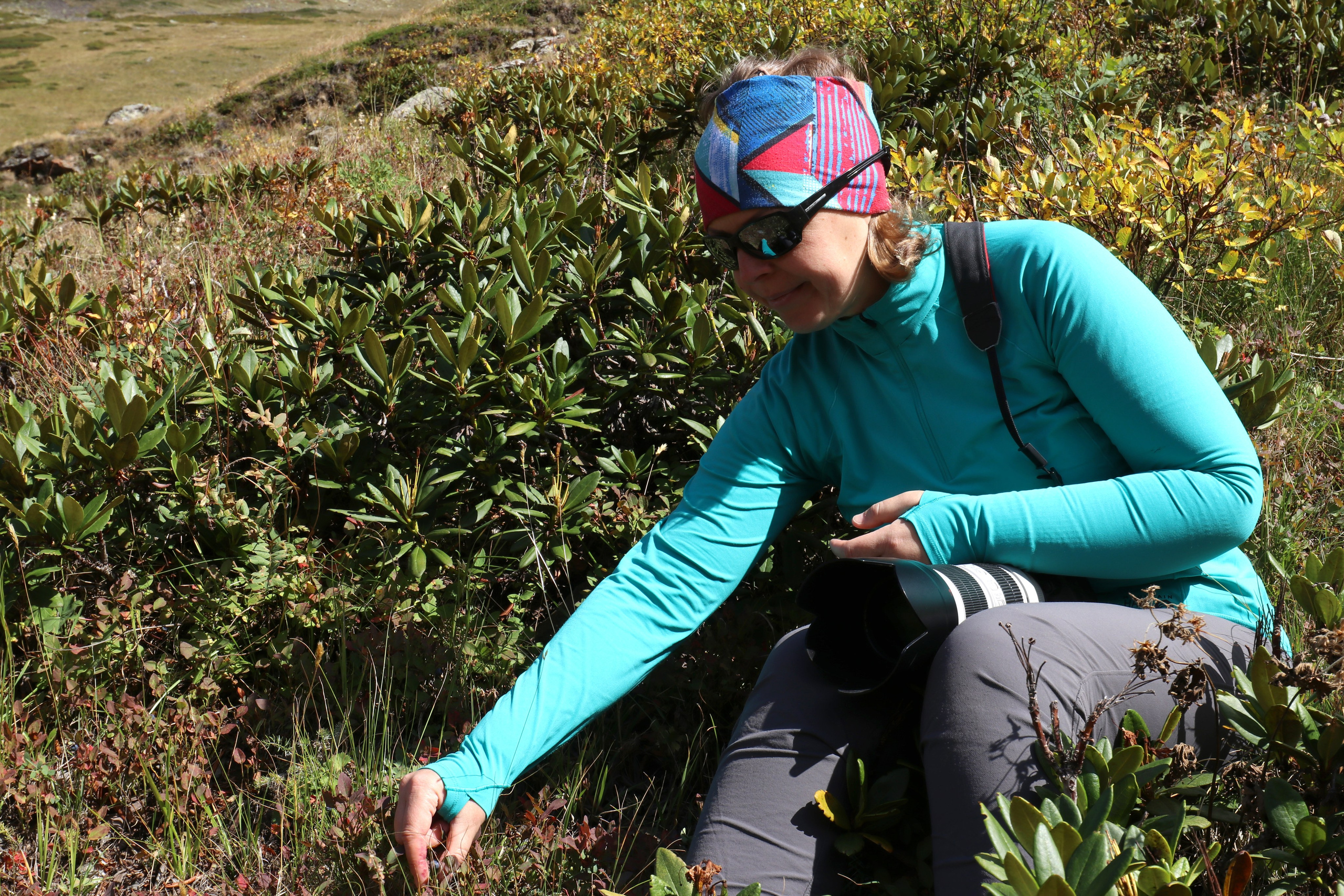 Приэльбрусье. Сентябрь 2024. Путешественник-фотограф из Санкт-Петербурга Татьяна Свистулина