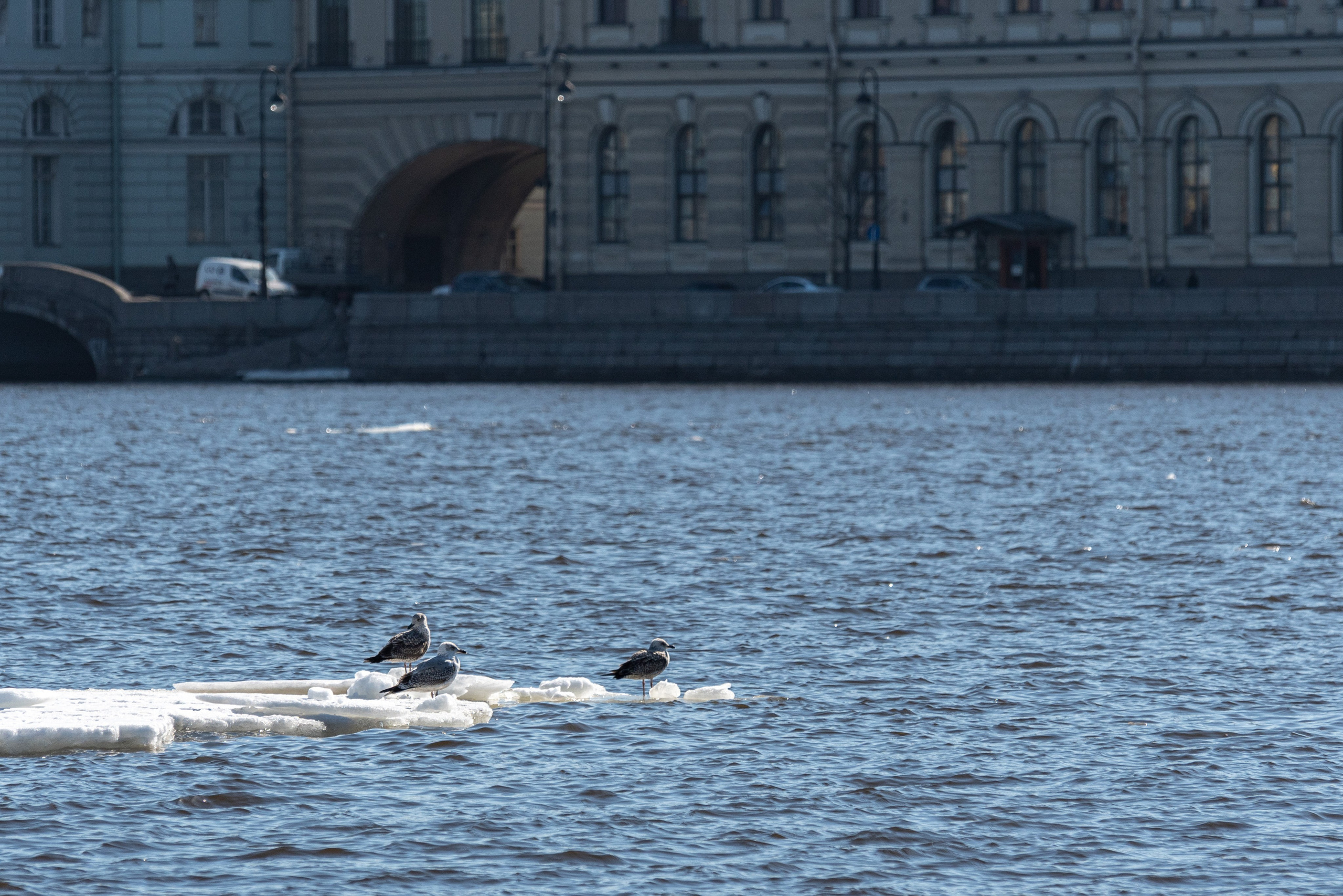 20220411-16 Санкт-Петербург. Дмитрий Ремизов. Фотография, как хобби
