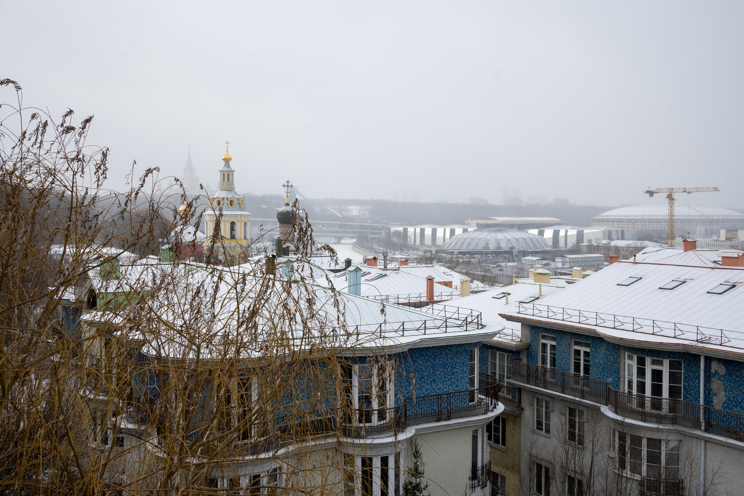 20250216 Нескучный сад. Дмитрий Ремизов. Фотография, как хобби
