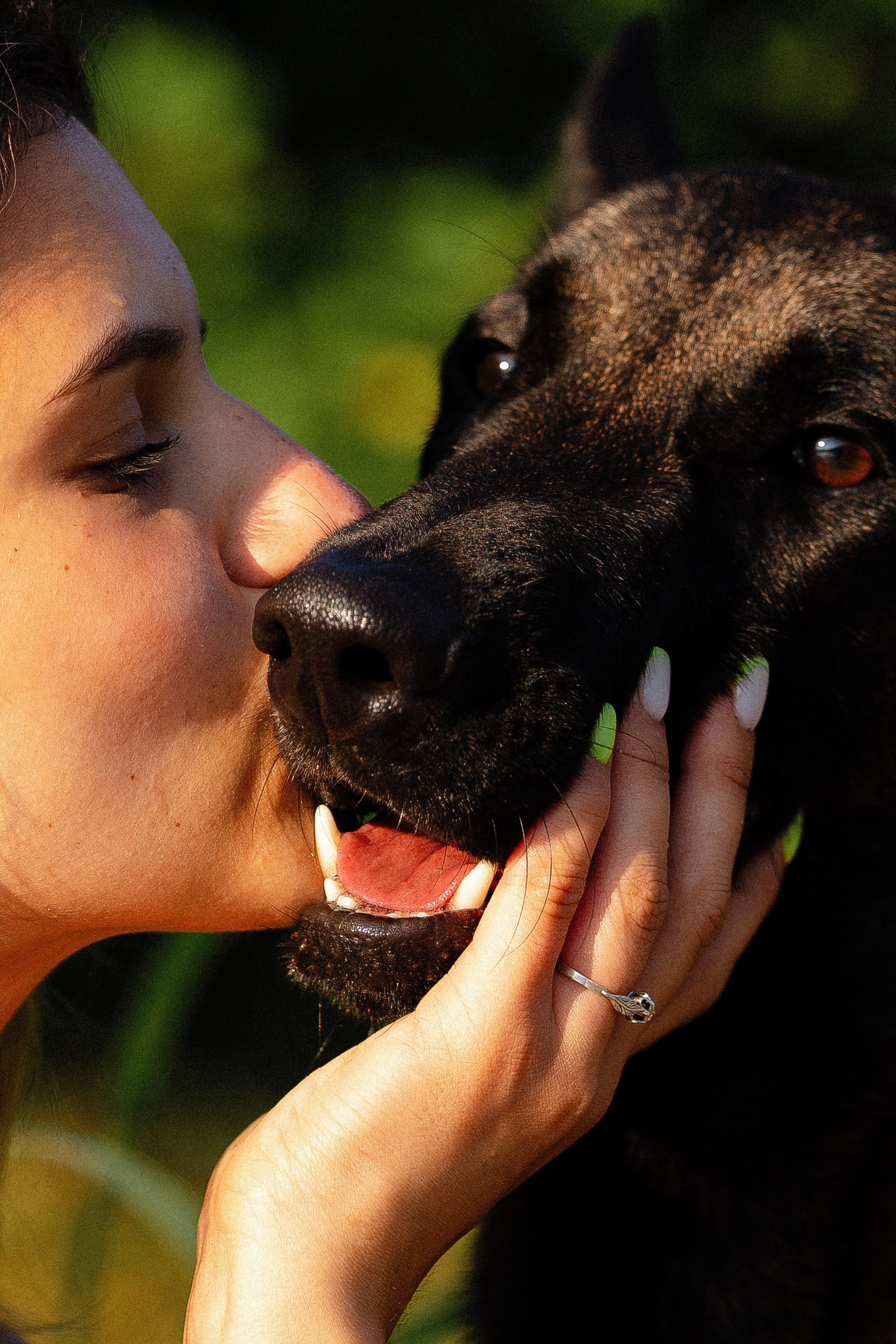 Галина и Кодекс. Фотограф и видеограф анималист Аганина Дарья