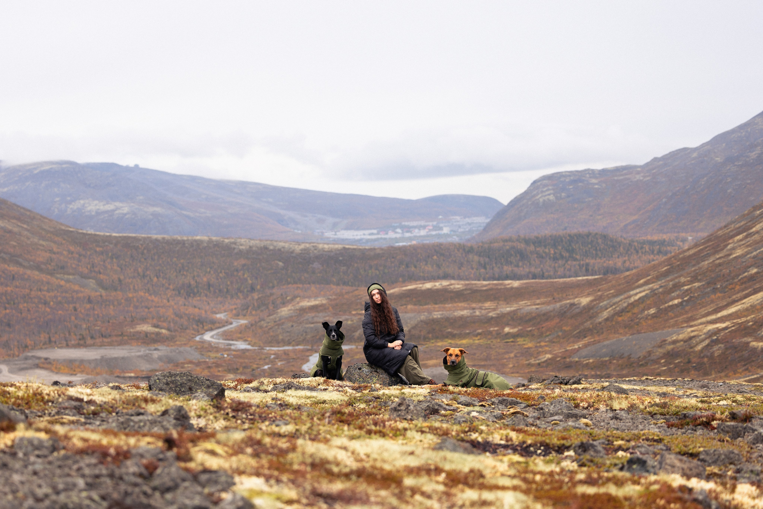 Кольский. Фотограф и видеограф анималист Аганина Дарья