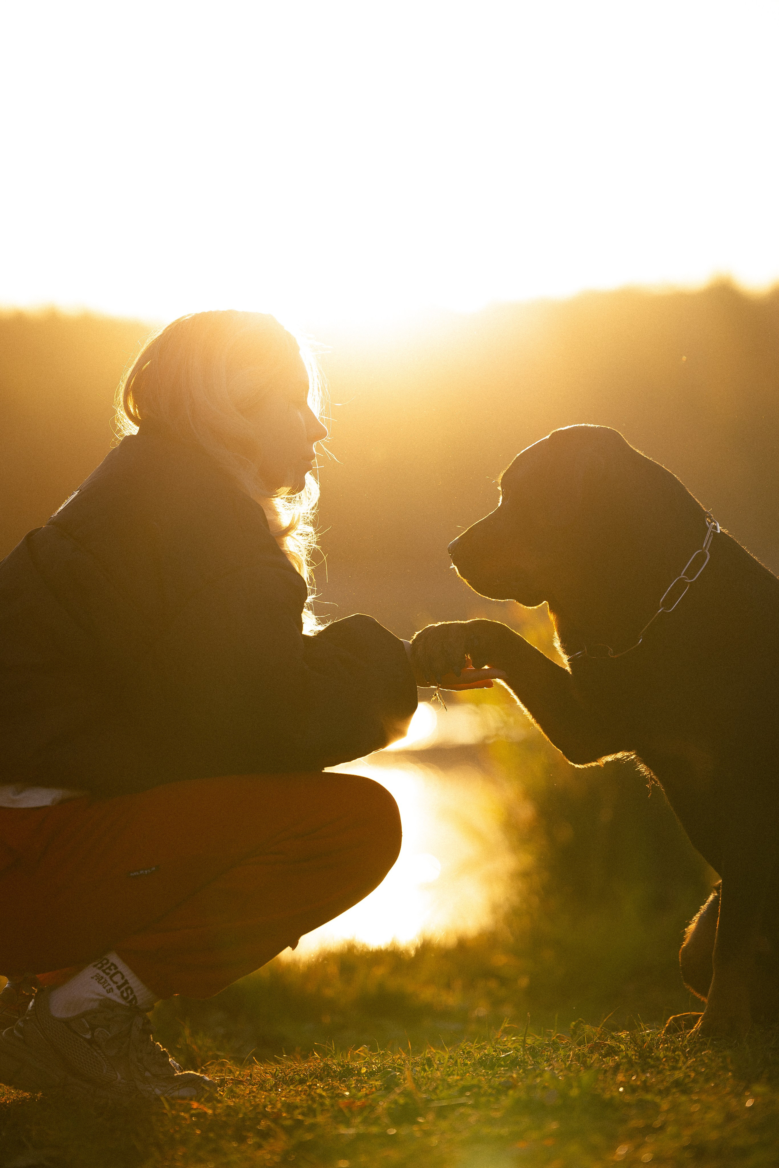 Катя, Леша, Лея и Трой. Фотограф и видеограф анималист Аганина Дарья