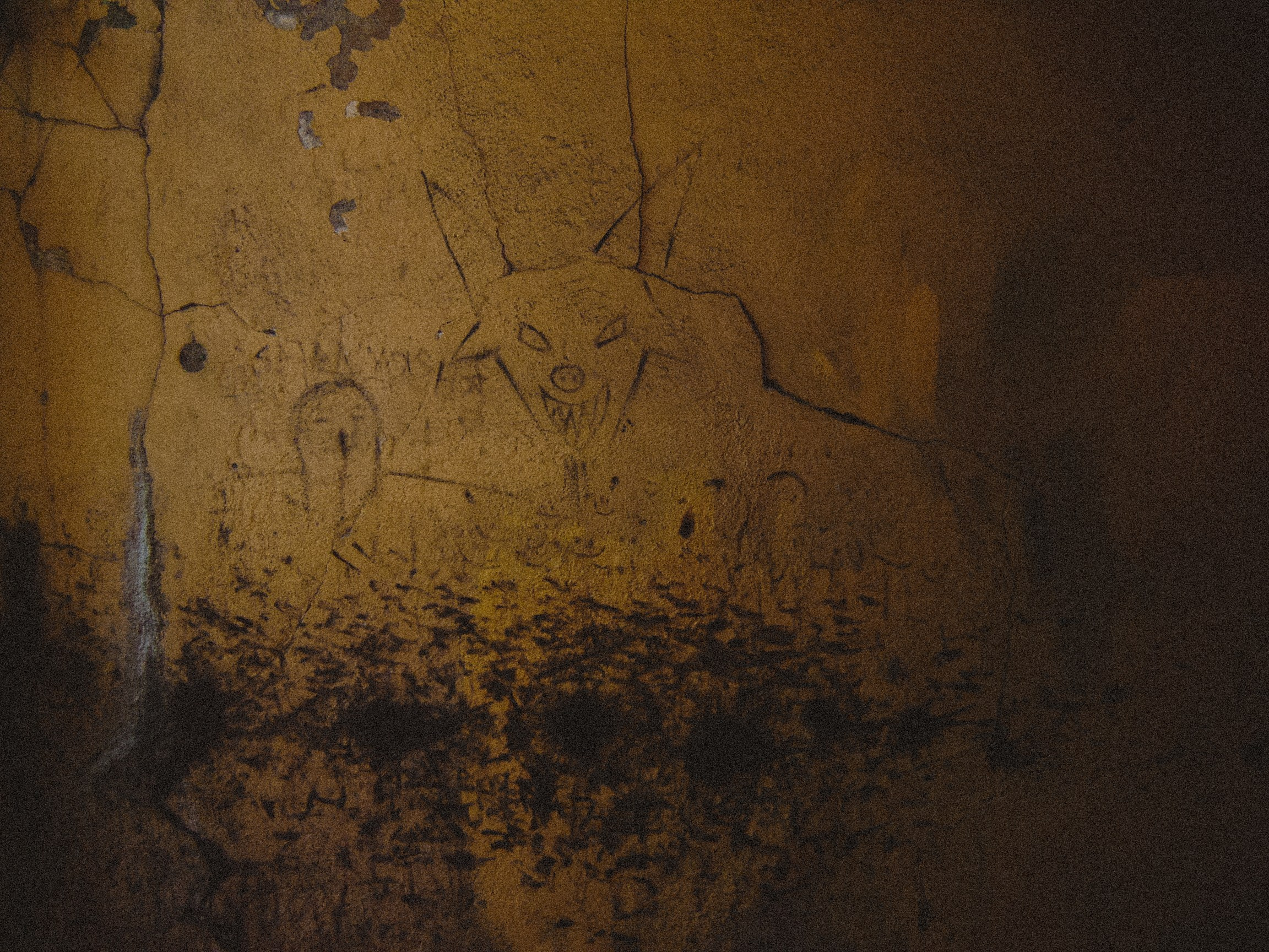 Sony cyber shot dsc p50. Анна Мильч