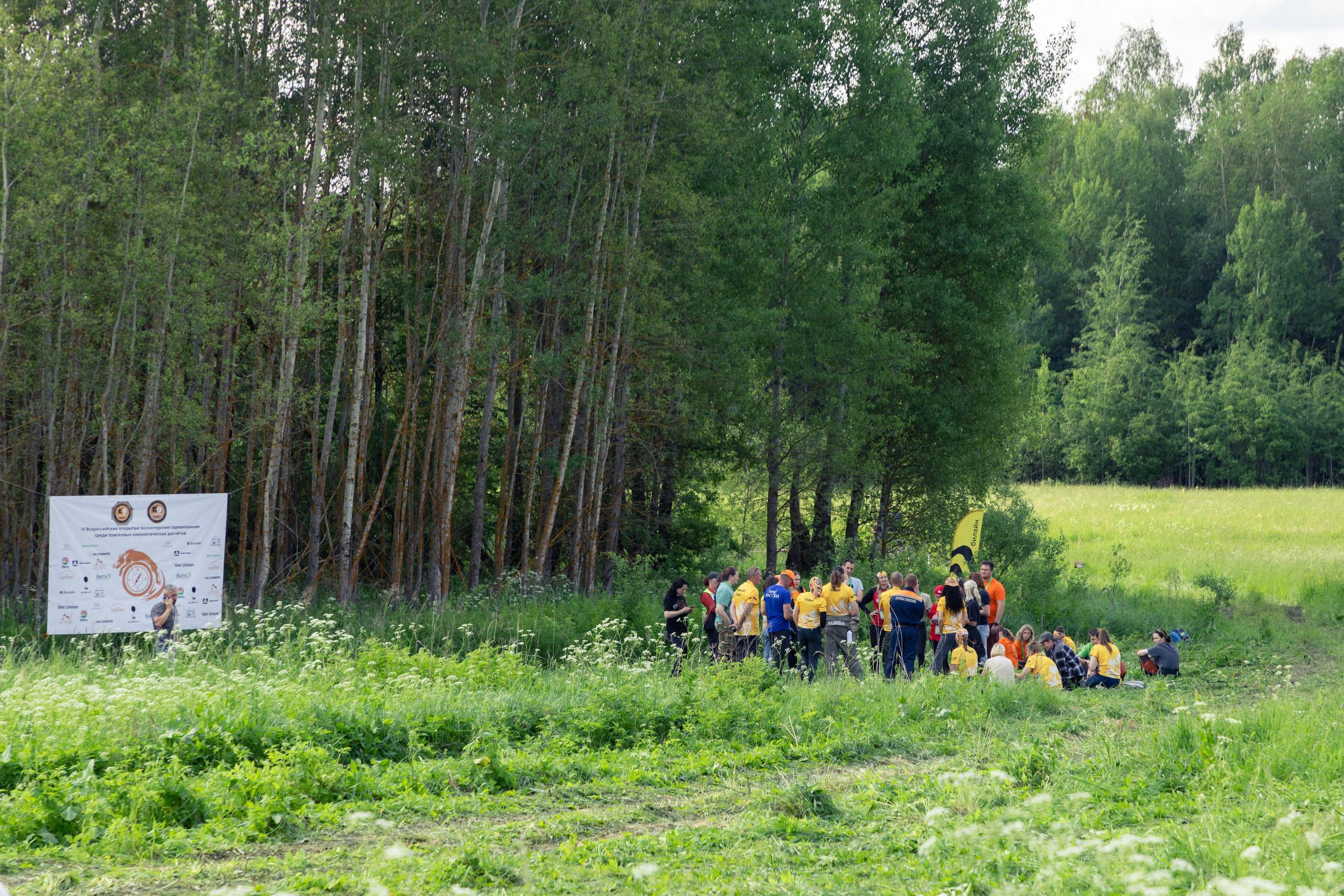 ДПСО «ЛизаАлерт». Главная