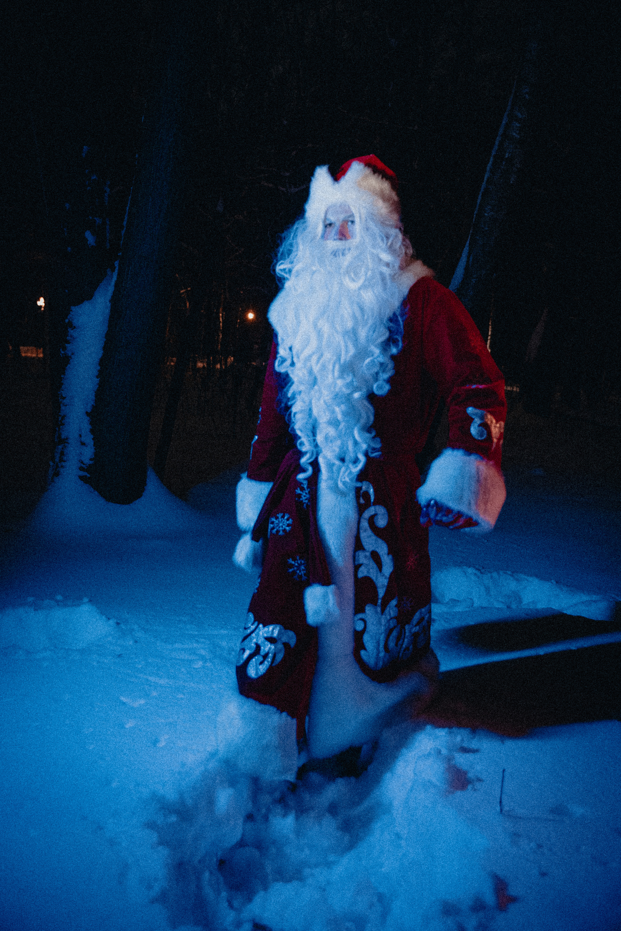 Зимняя сказка. Фотограф в Москве и любой точке земного шара Алёна Вялова (Чулкова)