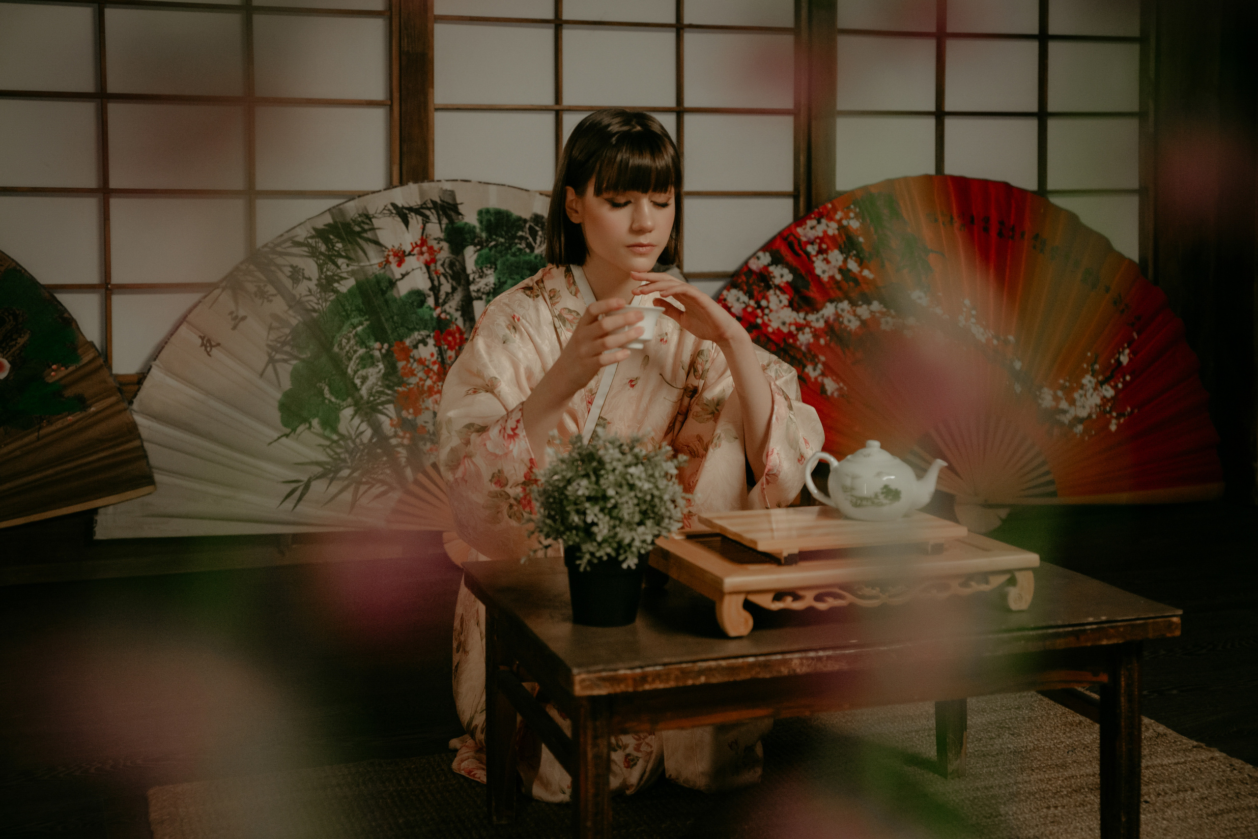 Япония. Фотограф в Москве и любой точке земного шара Алёна Вялова (Чулкова)