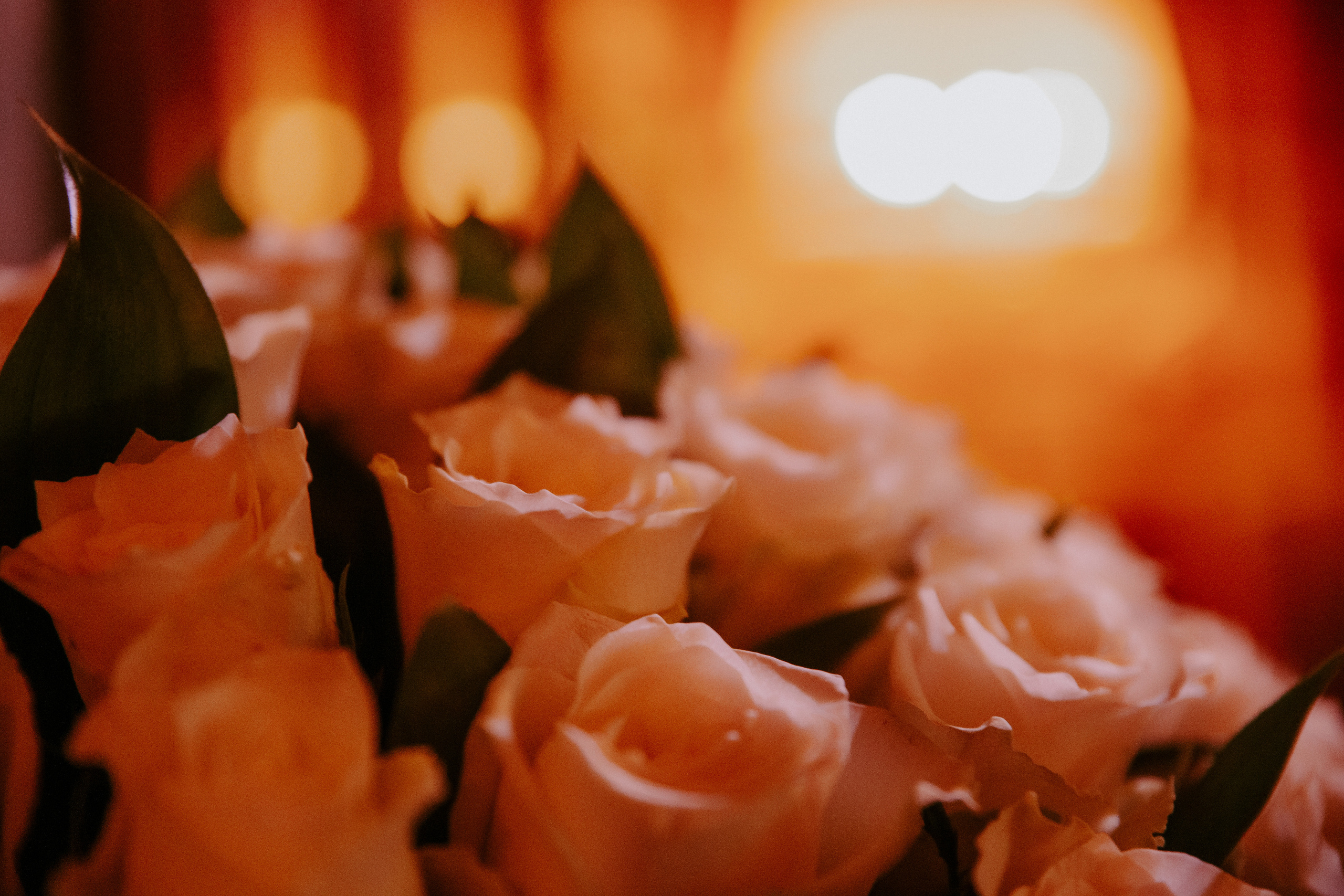 Максим и Анастасия. Photographer in Moscow & everywhere in the World Alena Vyalova