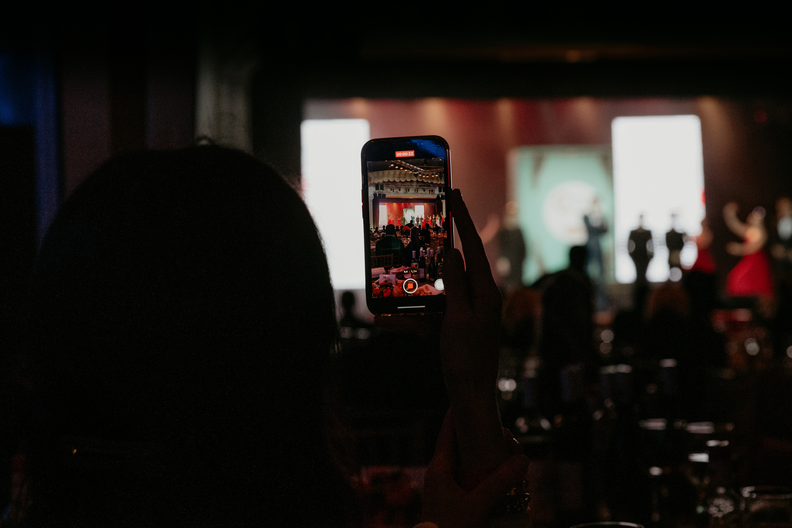 10 лет Книге Рекордов России. Фотограф в Москве и любой точке земного шара Алёна Вялова (Чулкова)