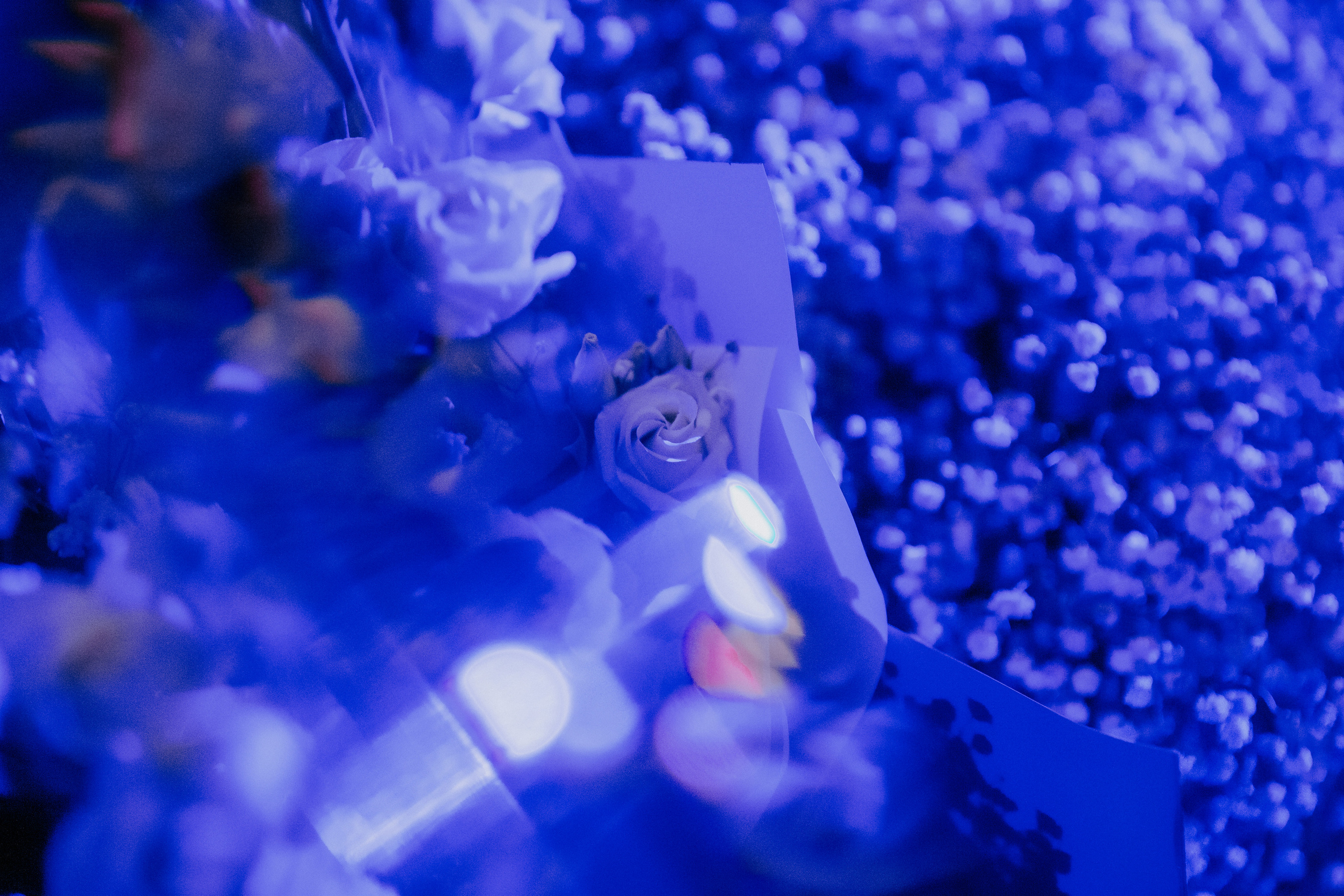 Максим и Анастасия. Photographer in Moscow & everywhere in the World Alena Vyalova