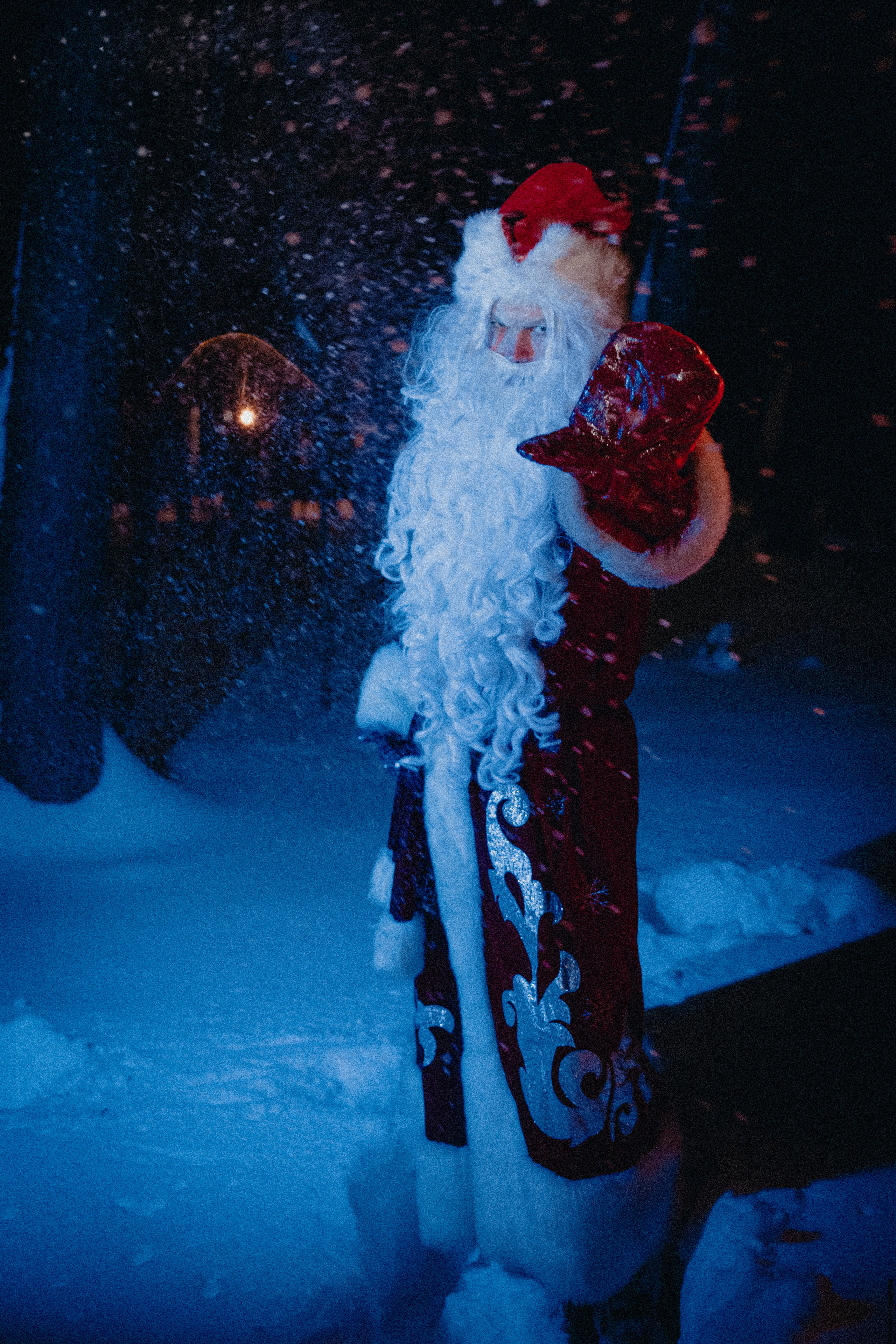 Зимняя сказка. Фотограф в Москве и любой точке земного шара Алёна Вялова (Чулкова)