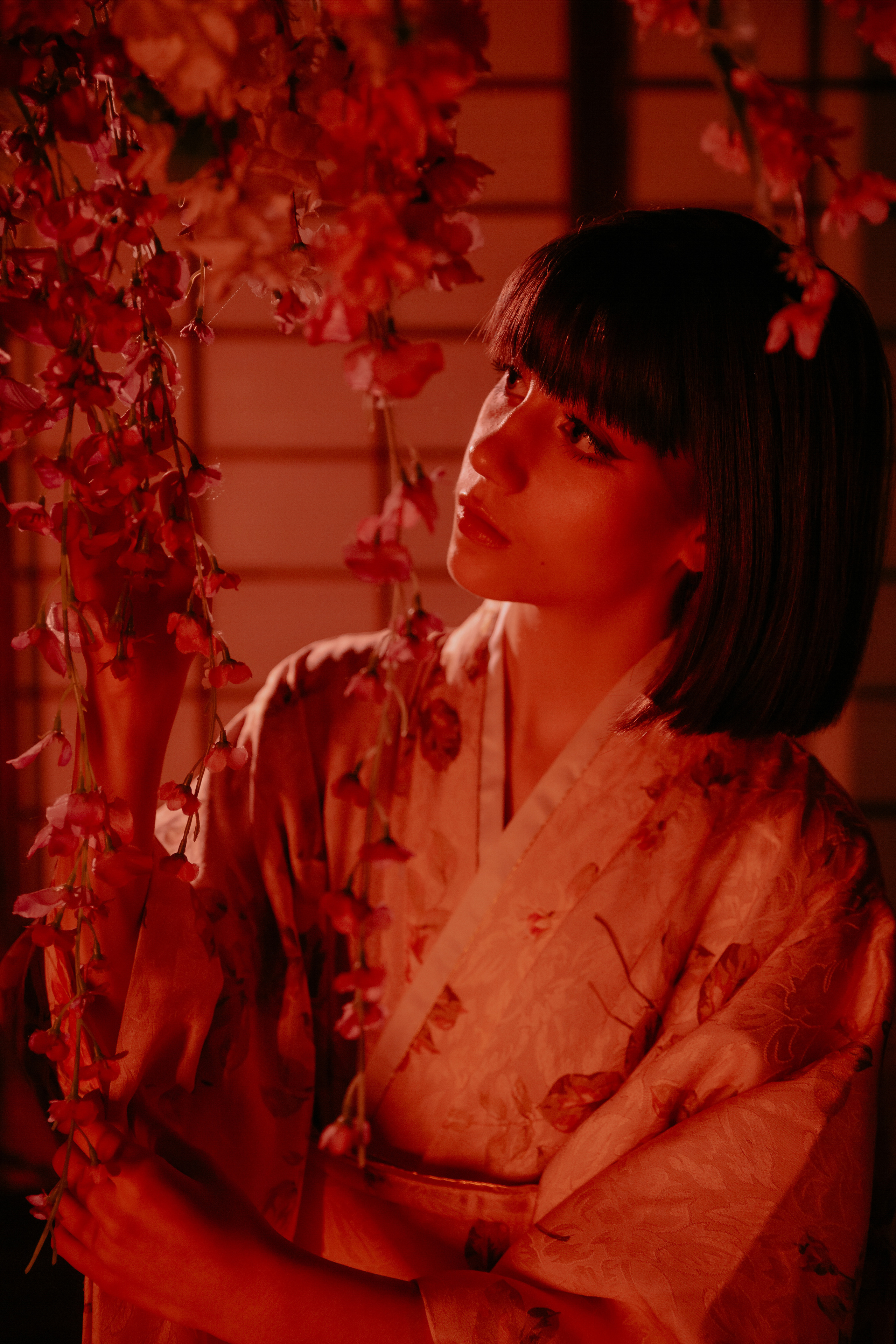 Япония. Фотограф в Москве и любой точке земного шара Алёна Вялова (Чулкова)