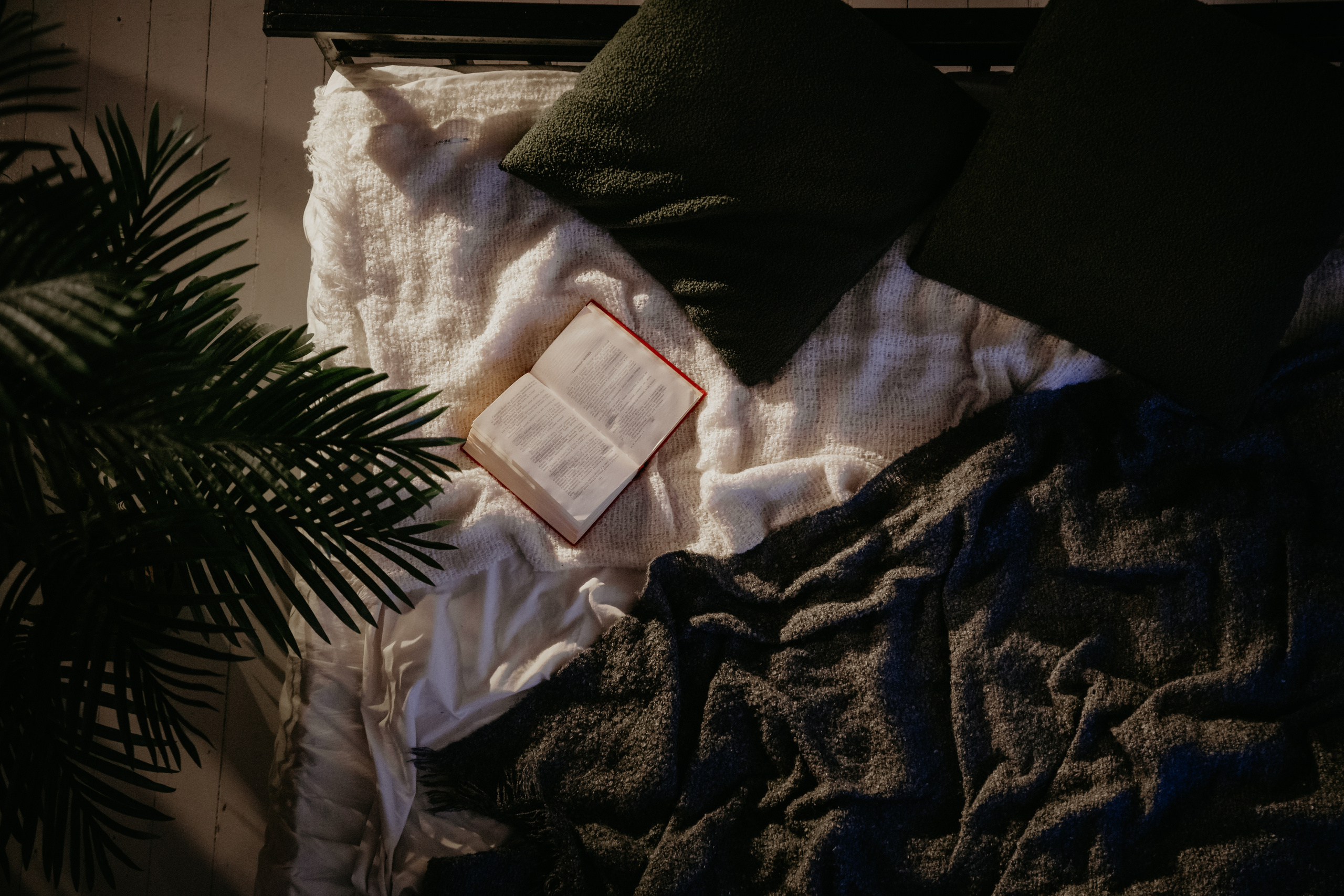 Екатерина и Ярослав. Москва. Фотограф в Москве и любой точке земного шара Алёна Вялова (Чулкова)