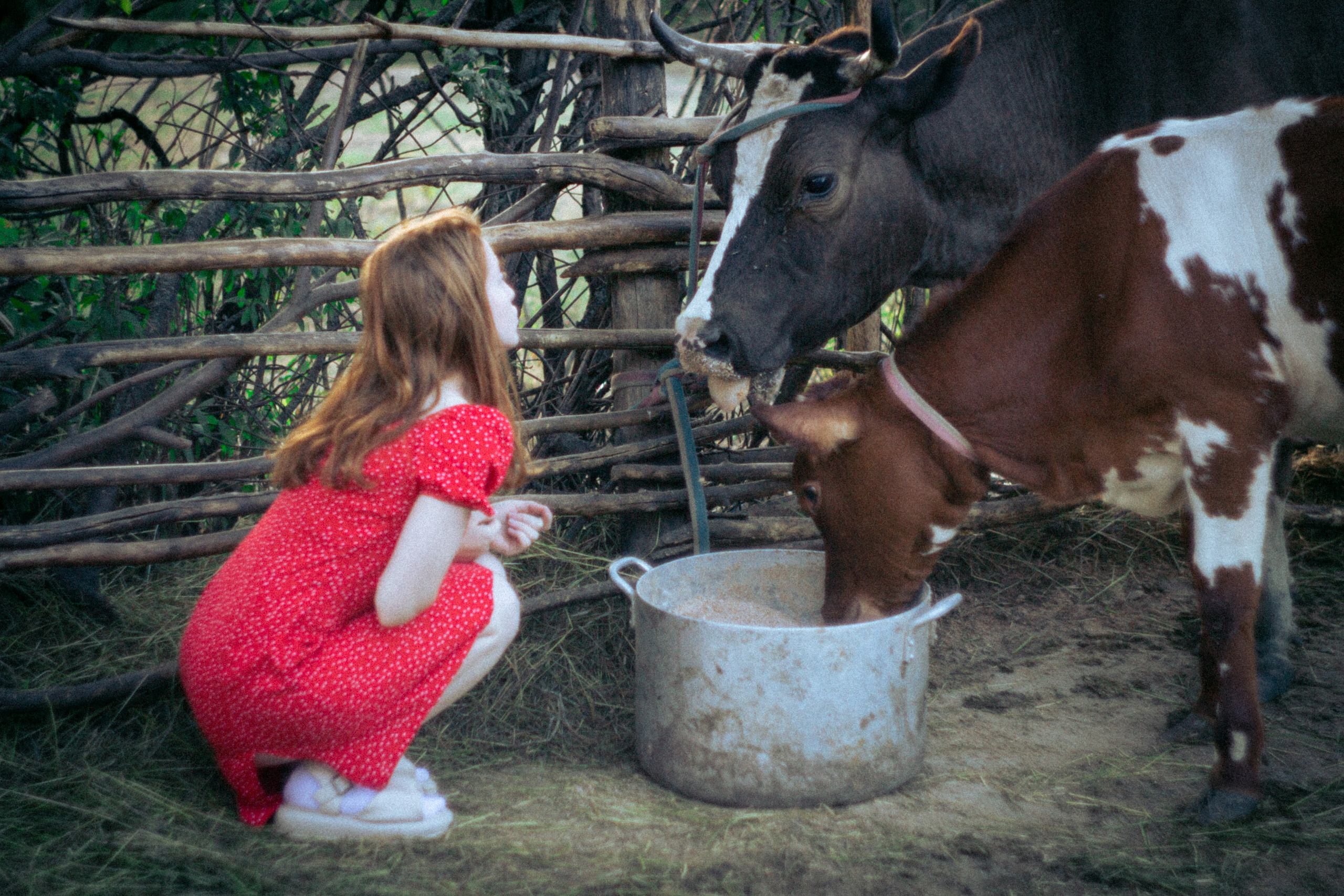 Платье в горошек. • Фотограф Александра Светозар Алчевск •