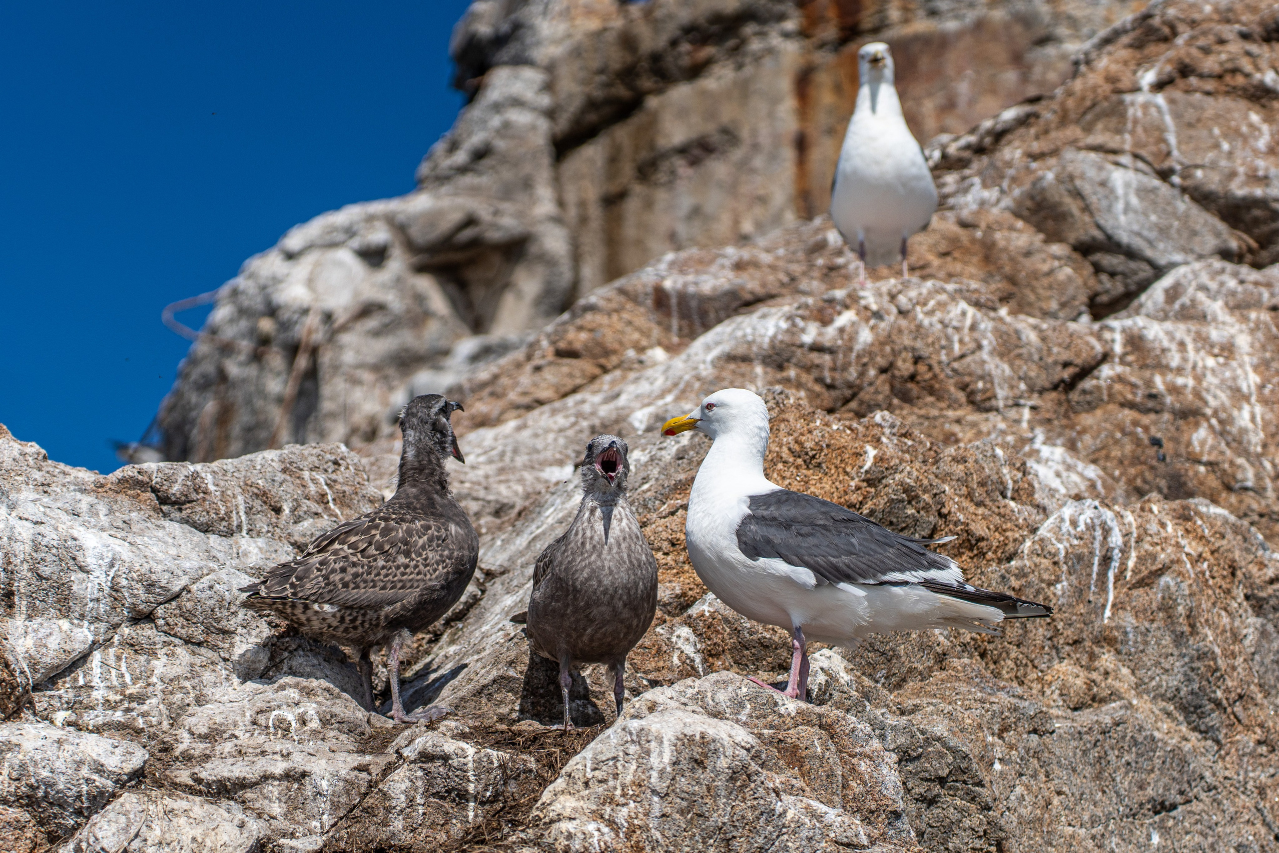 Сахалин 2025. Творческие сьемки