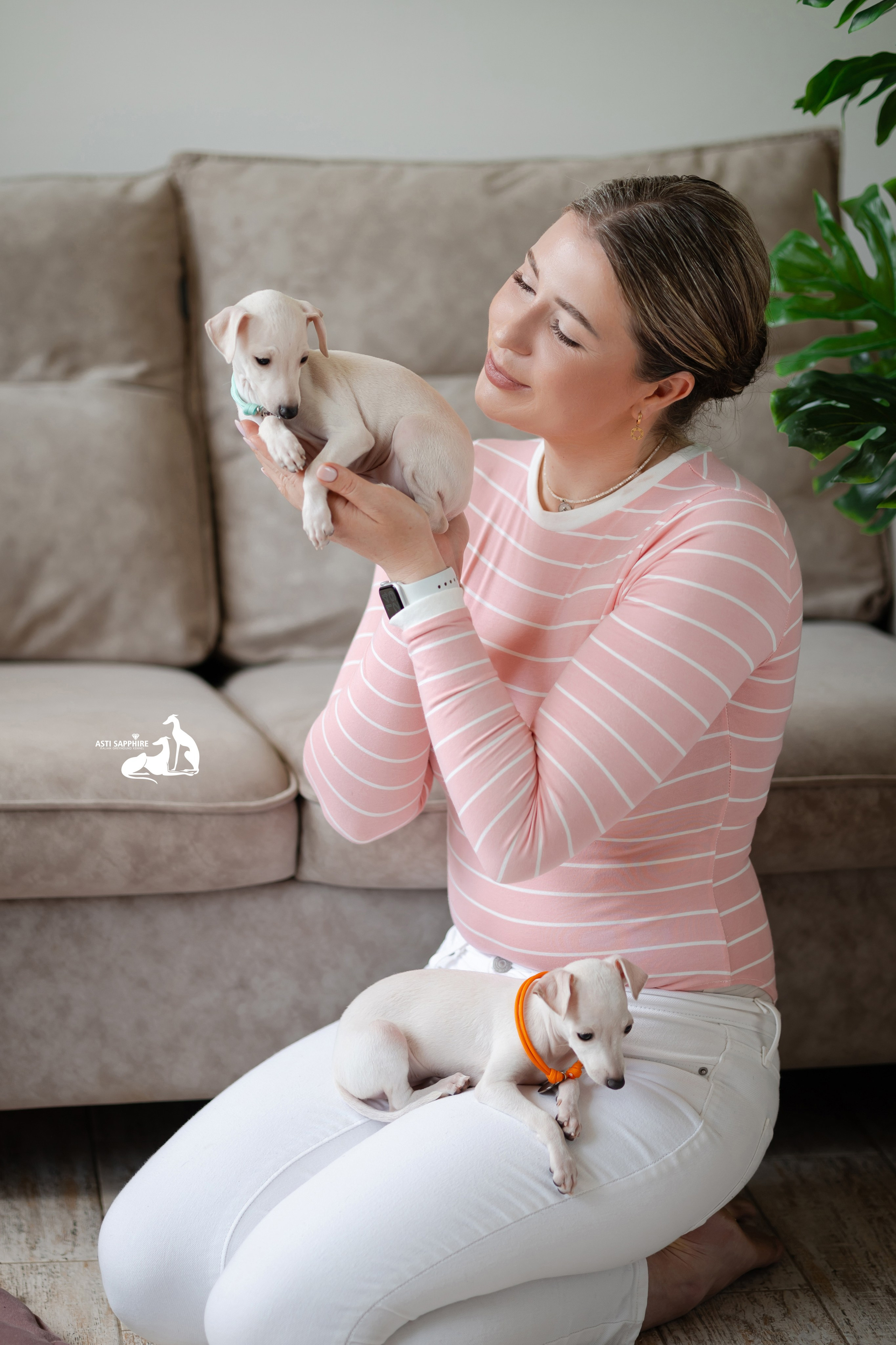 Белоснежные. Professional Italian Greyhound Kennel RKF/FCI ASTI SAPPHIRE 💎 Sochi|St. Petersburg