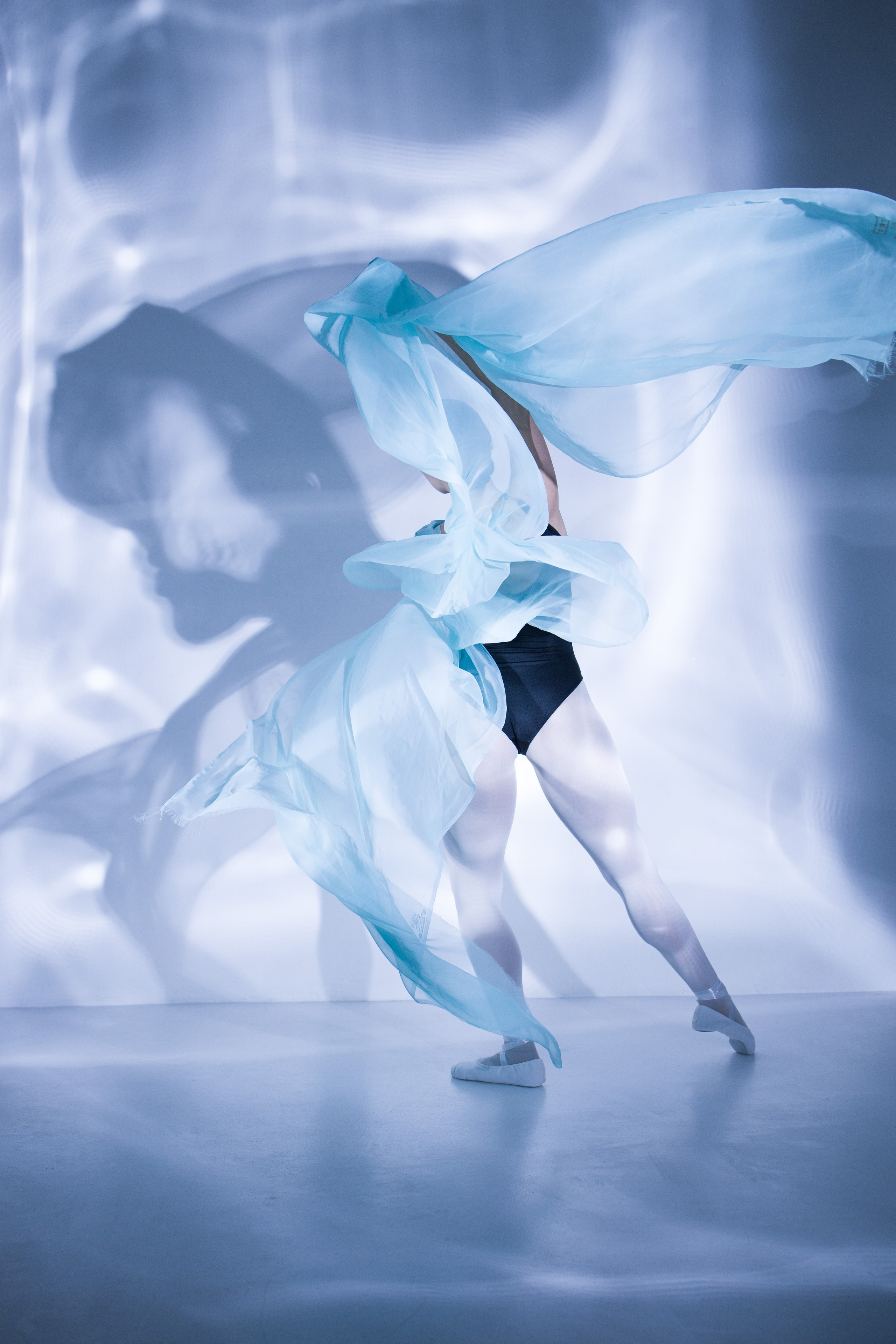 Лилия. Художественная фотография