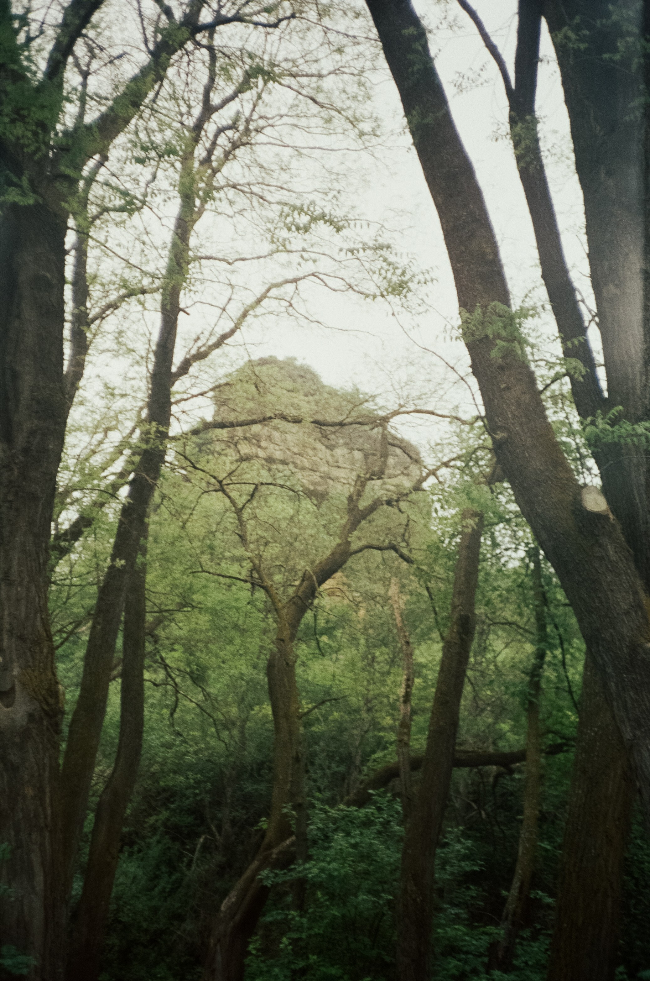Дорога к Джилы-Су и лошадки в тумане. Фотограф-документалист Мария Осокина