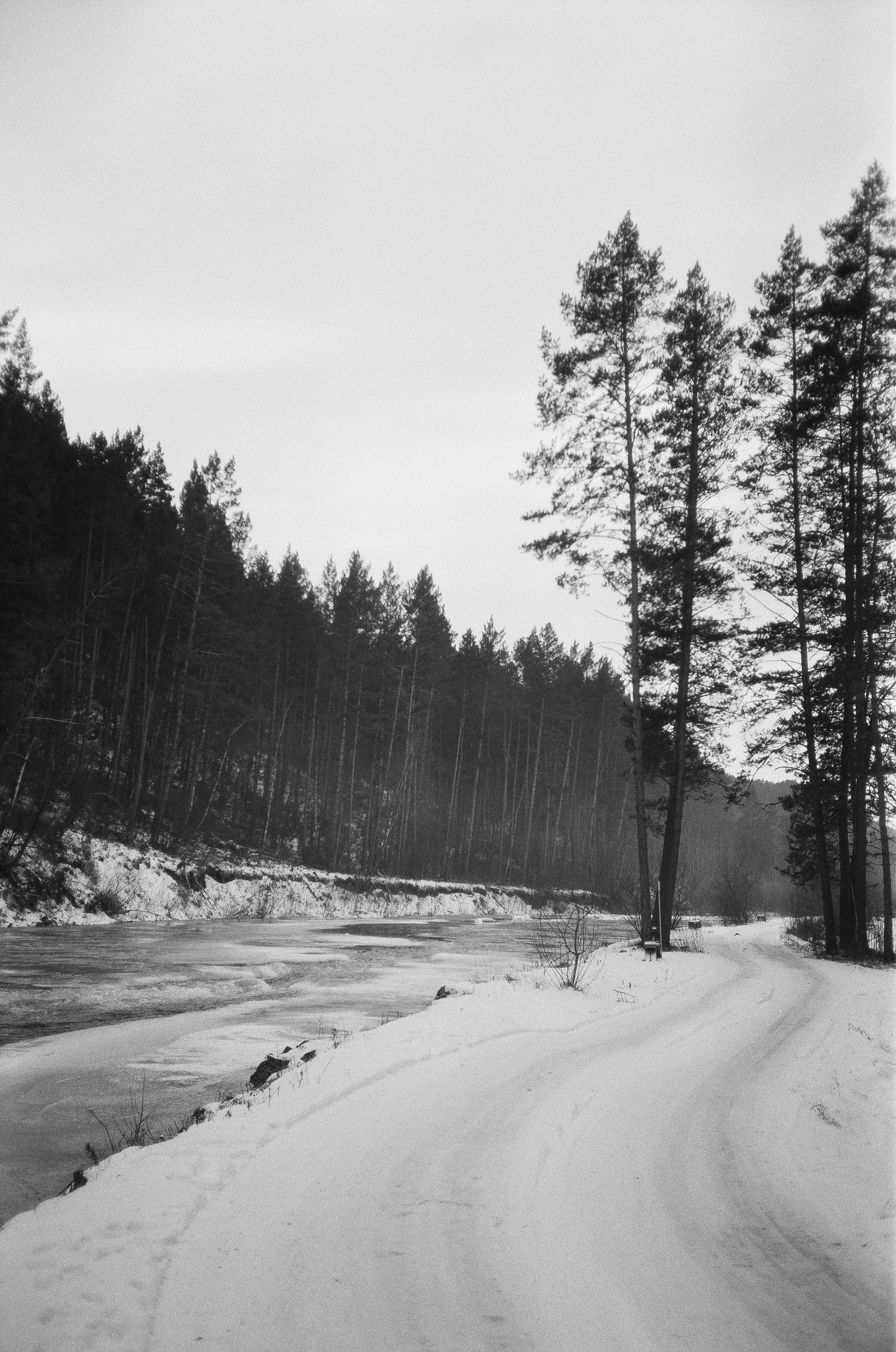 Деревня Берендеевка и кафе Лампа в верхах Алтая. Горы и поля Чемала. Фотограф-документалист Мария Осокина