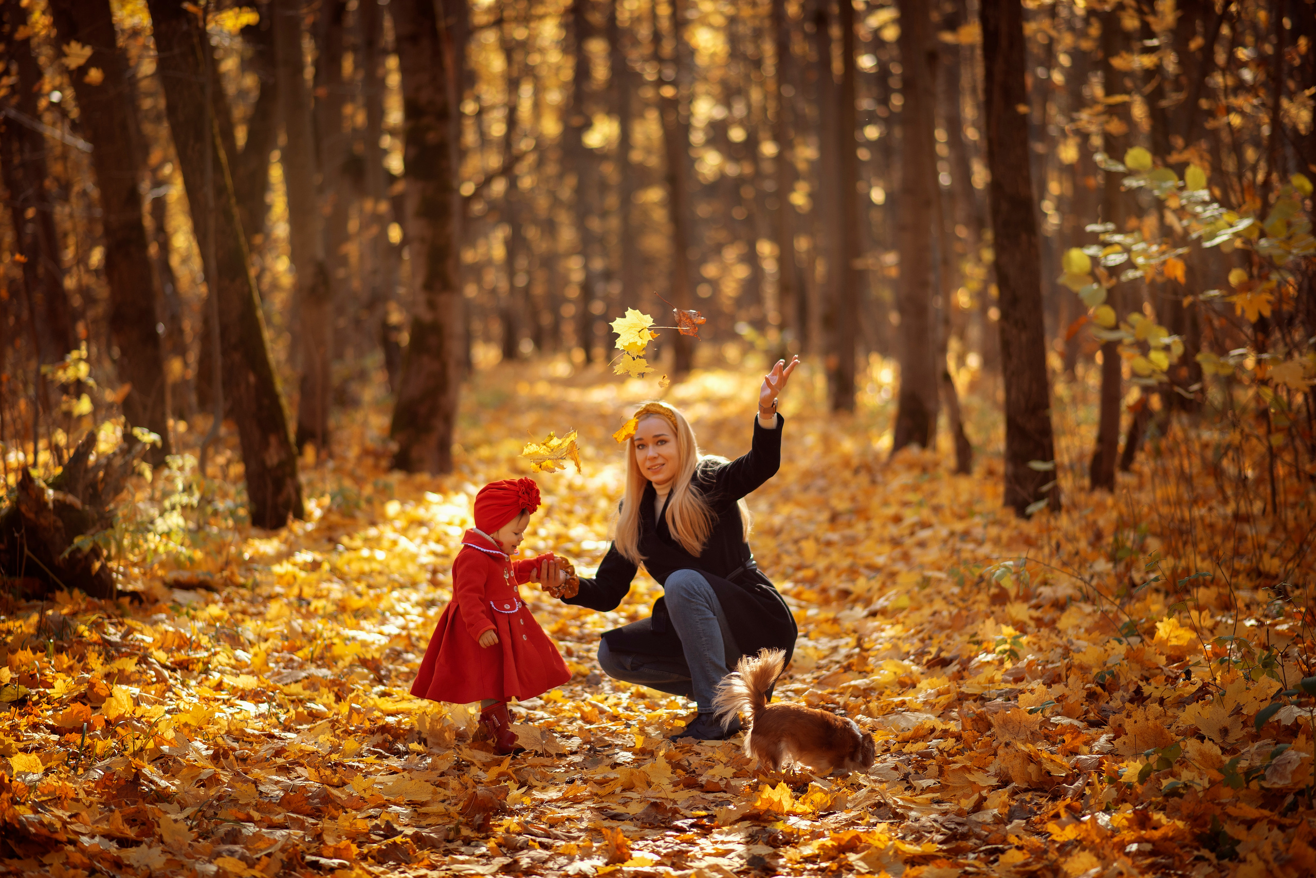 Семейная фотосессия. Фотограф Полина Рыкова