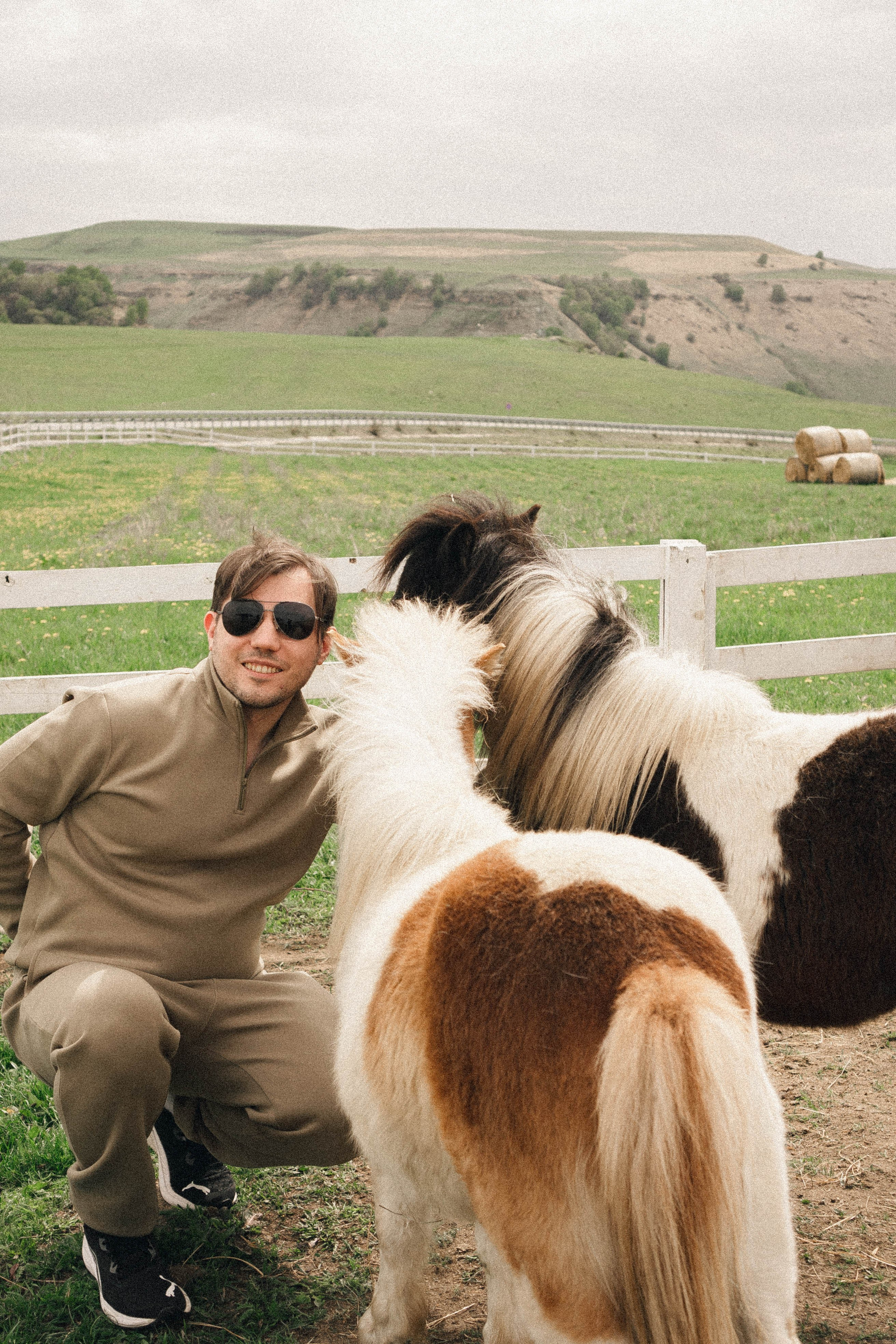 Ферма Альпак. Профессиональный фотограф, Санкт-Петербург — Виктория Богомолова