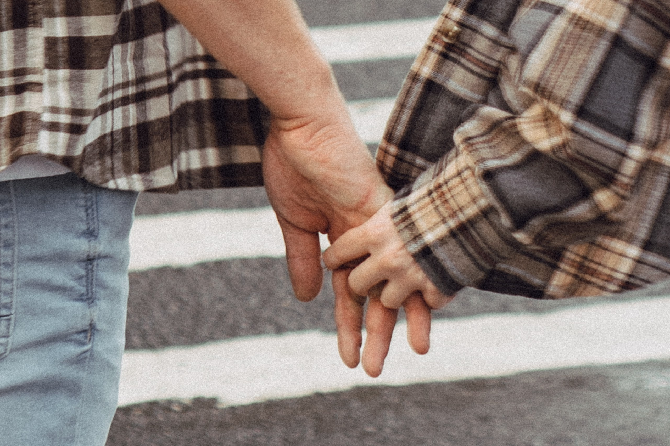 Июльский вечер. Профессиональный фотограф, Санкт-Петербург — Виктория Богомолова